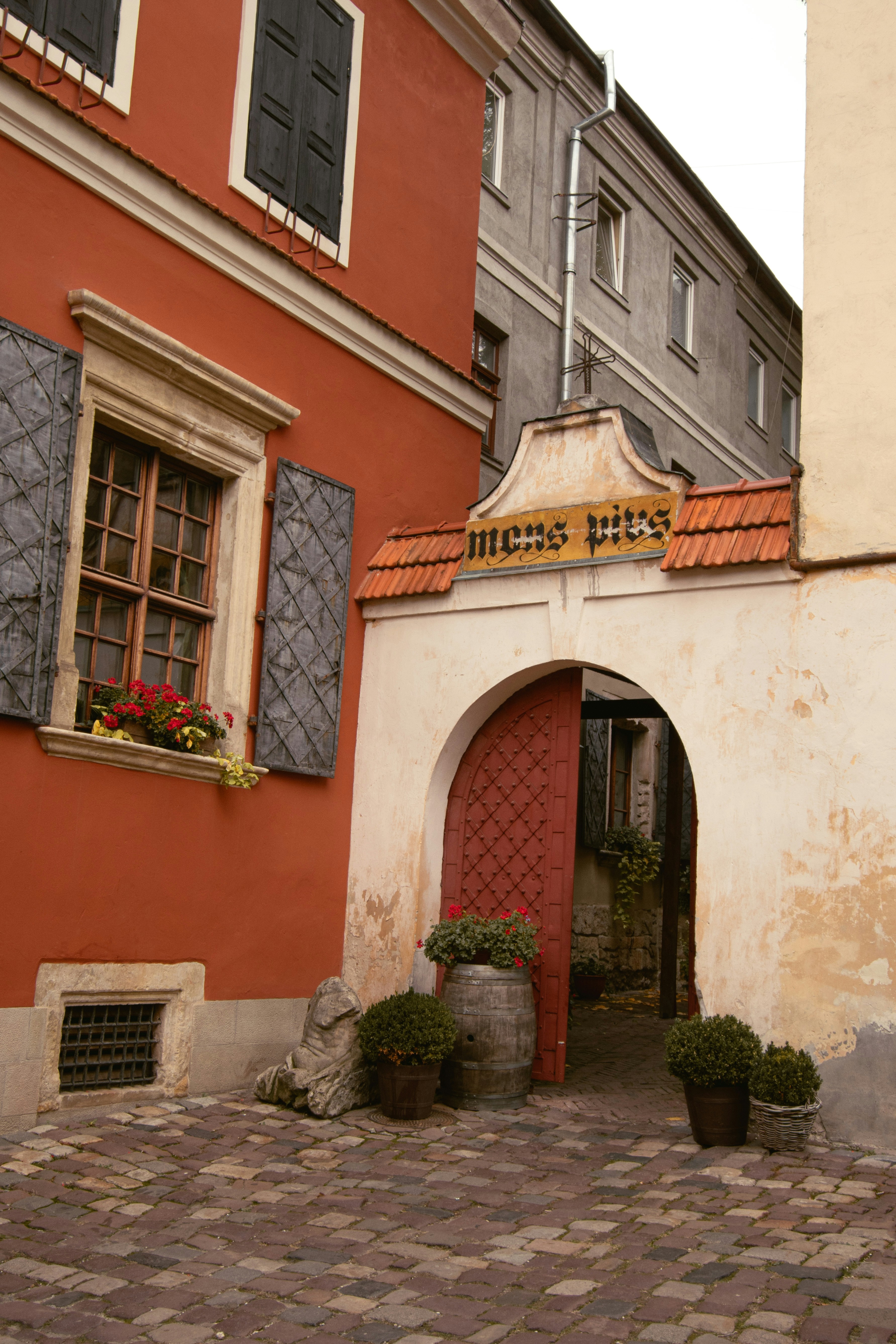 Photo by karynaviktori