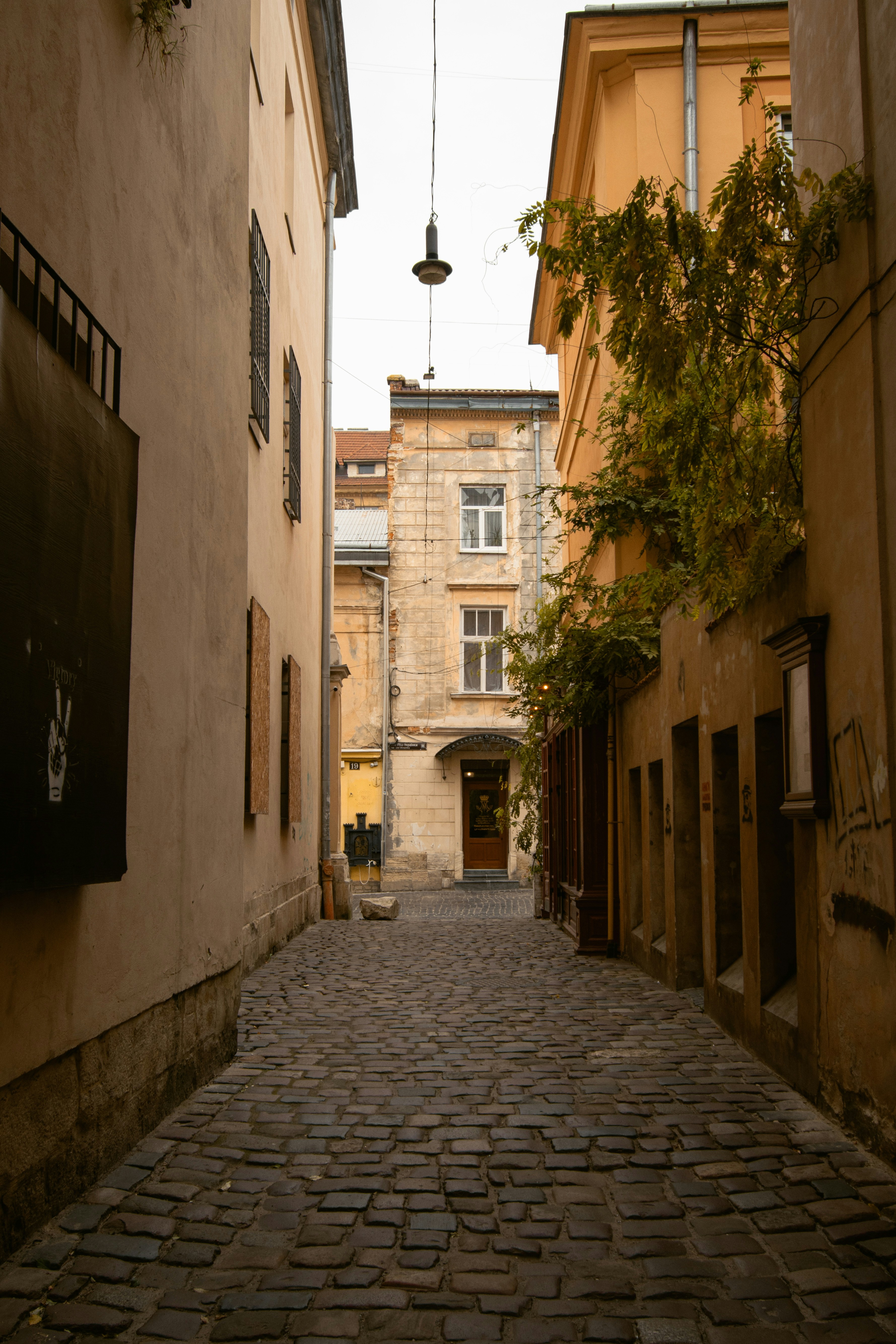 Photo by karynaviktori