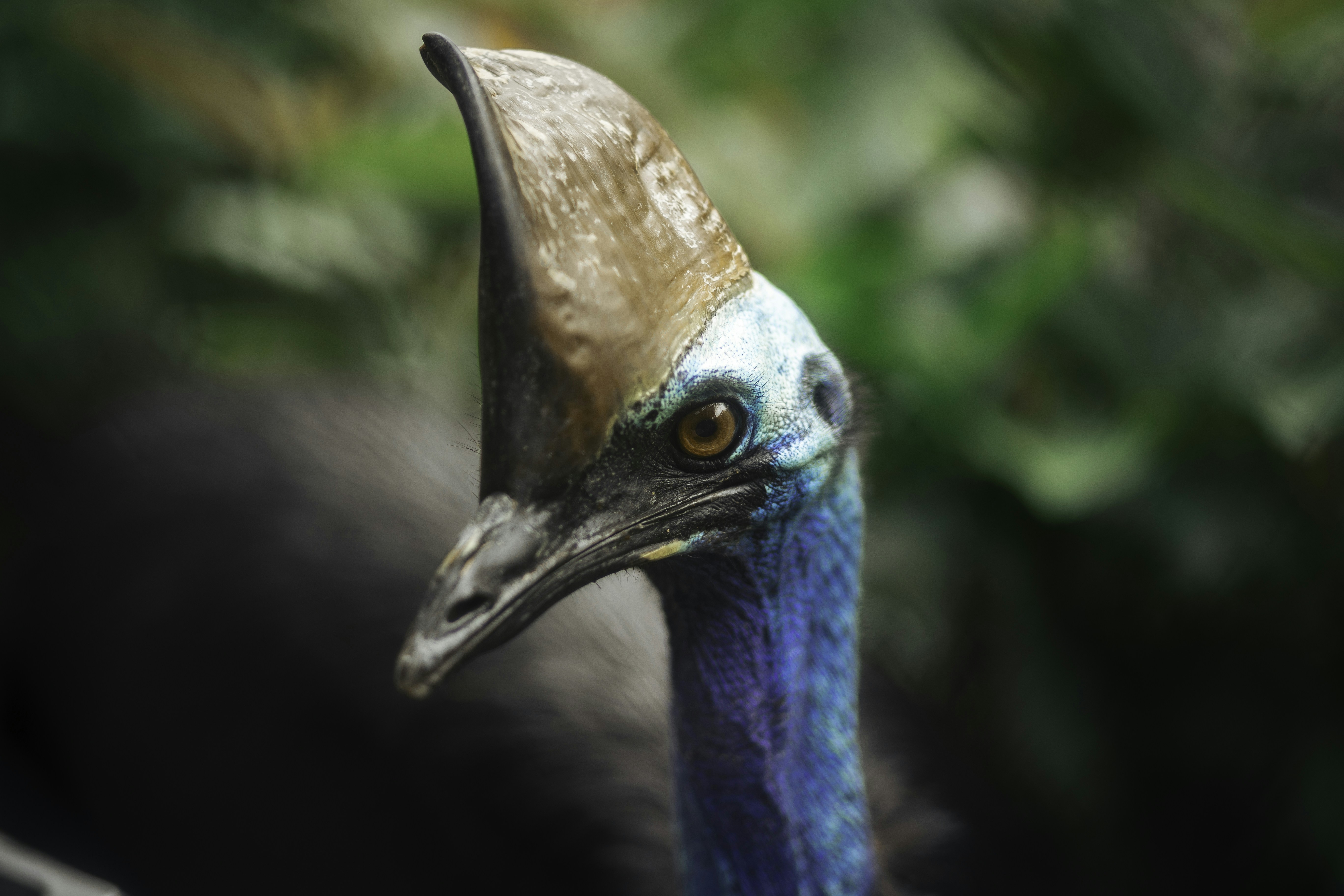 Photo by behindthetmuna