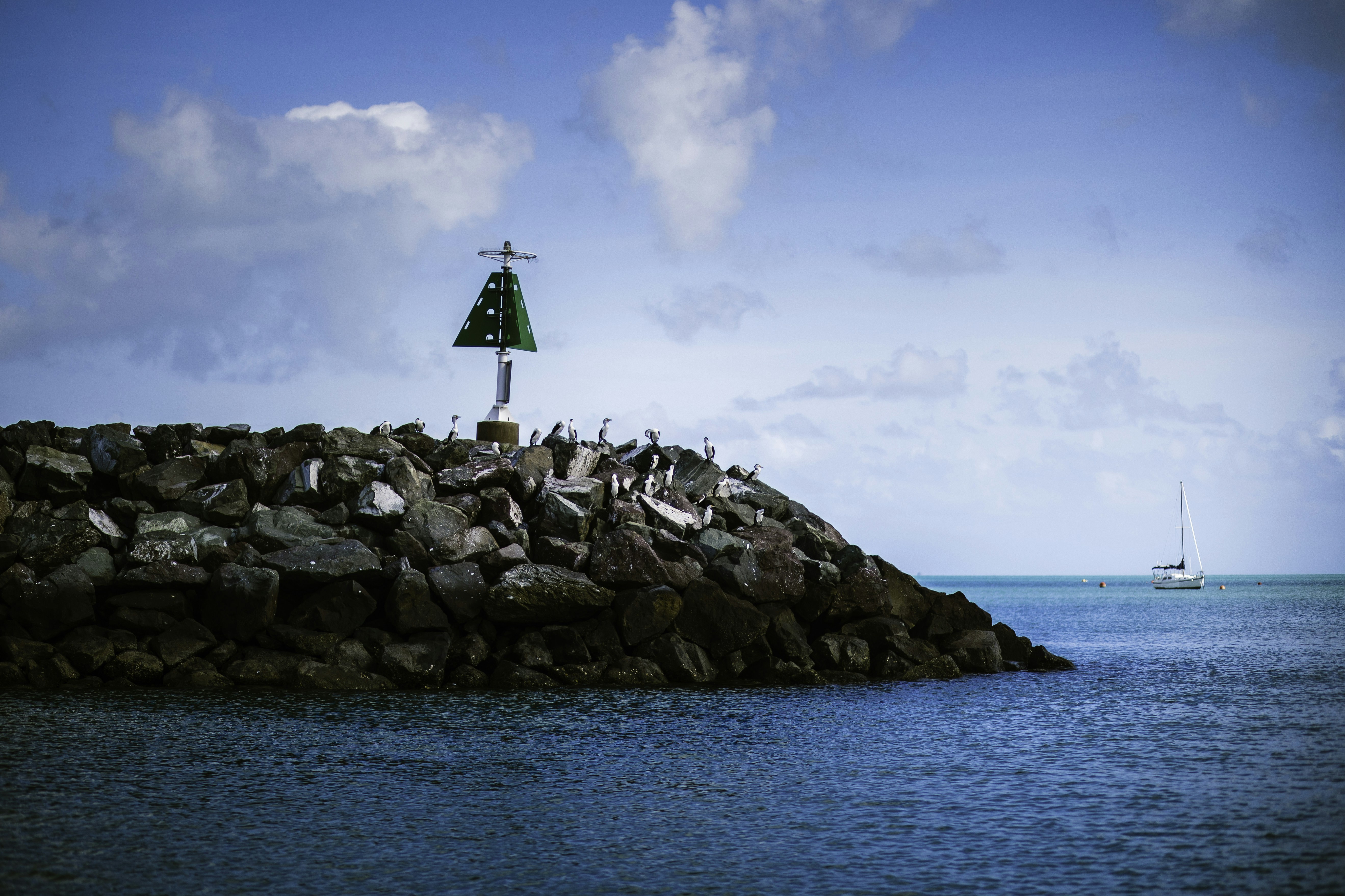 Photo by behindthetmuna