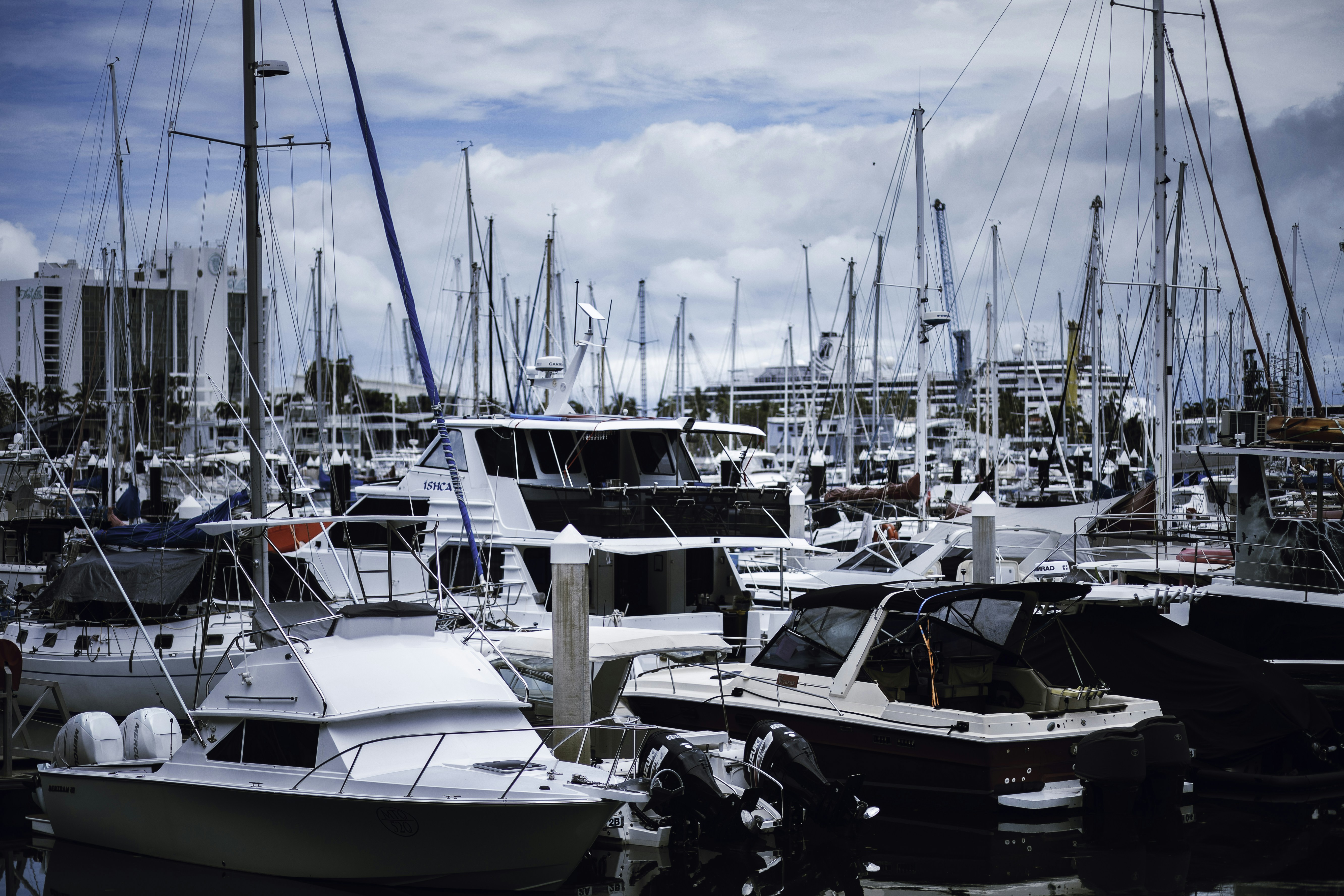 Photo by behindthetmuna