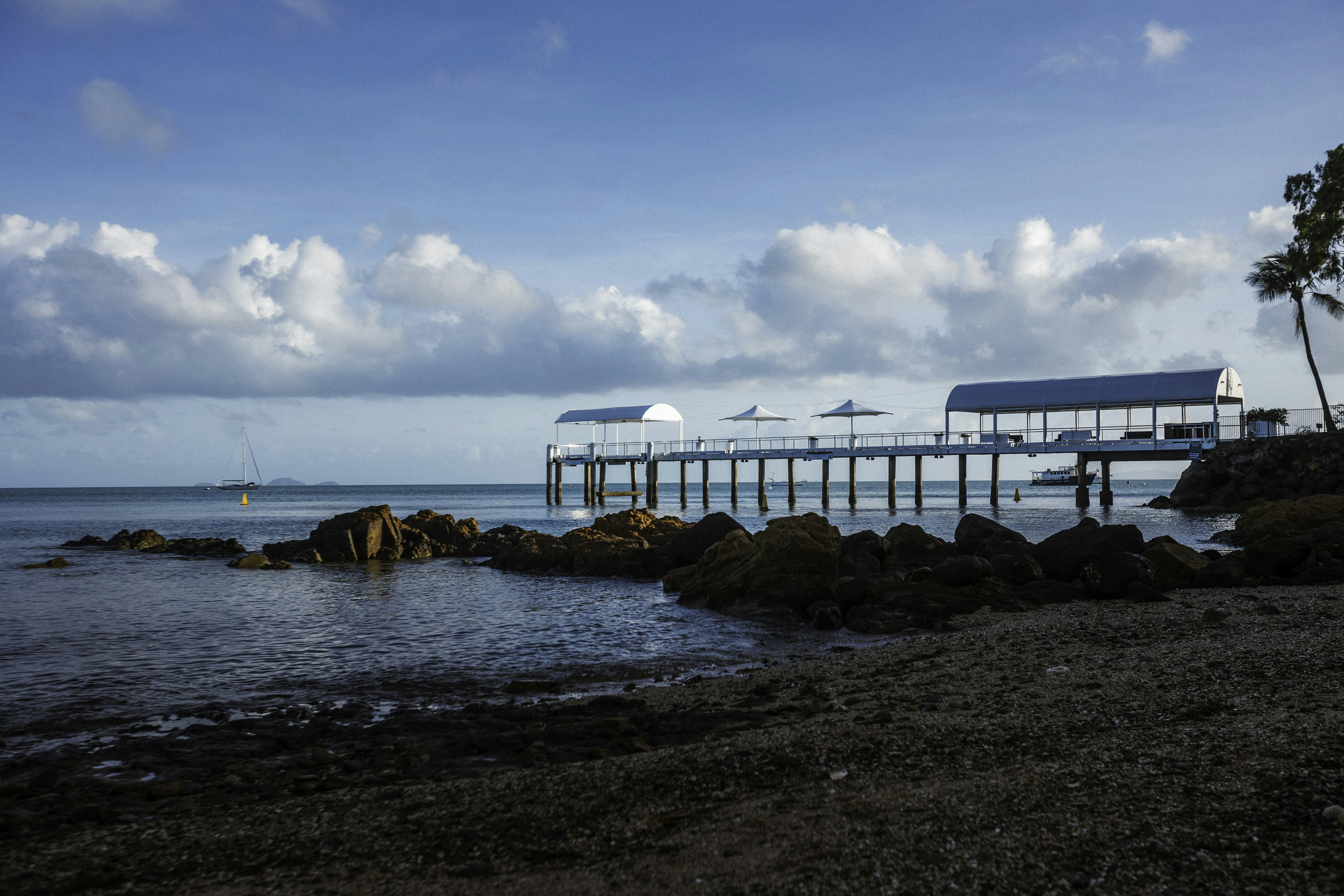 Photo by behindthetmuna