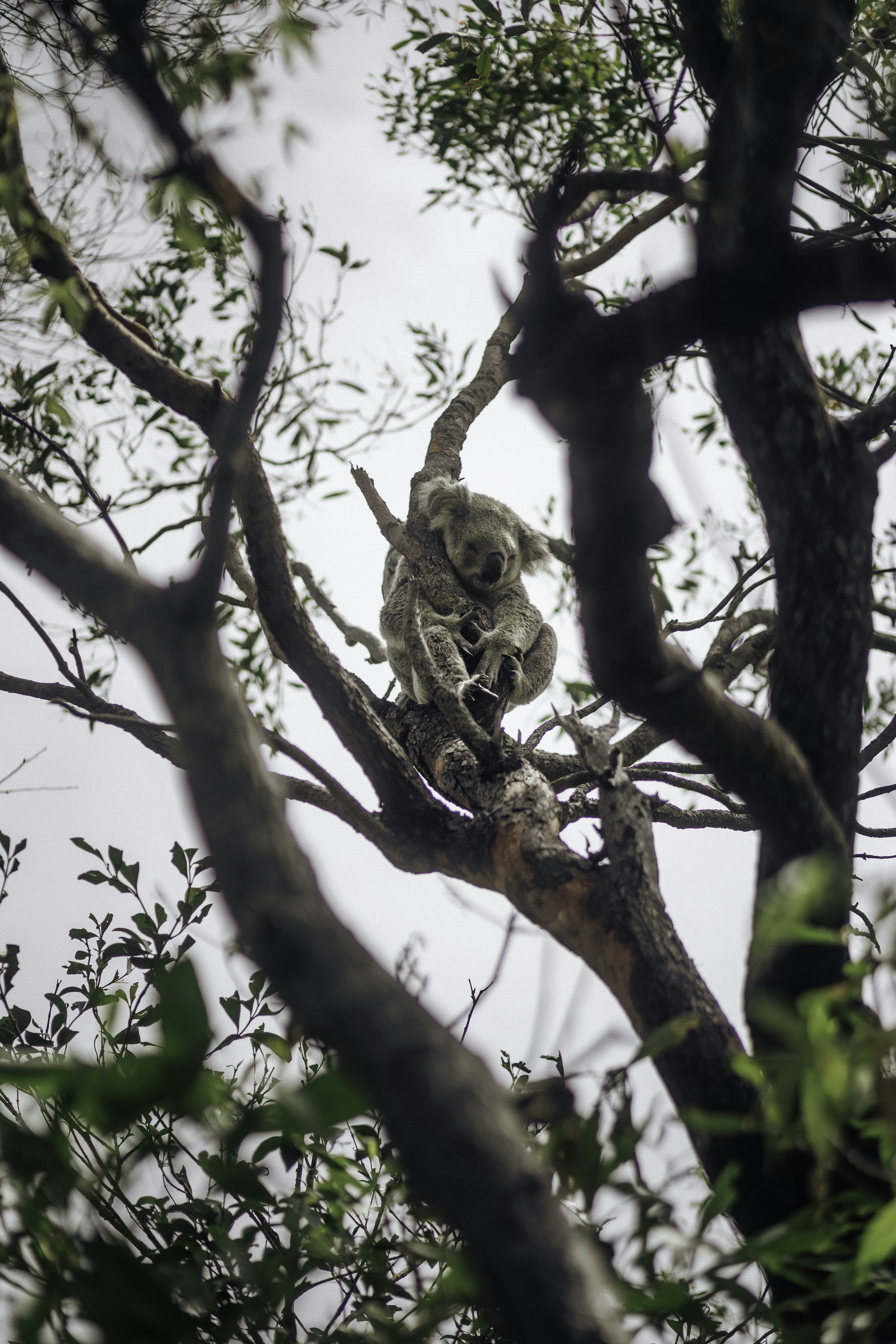 Photo by behindthetmuna