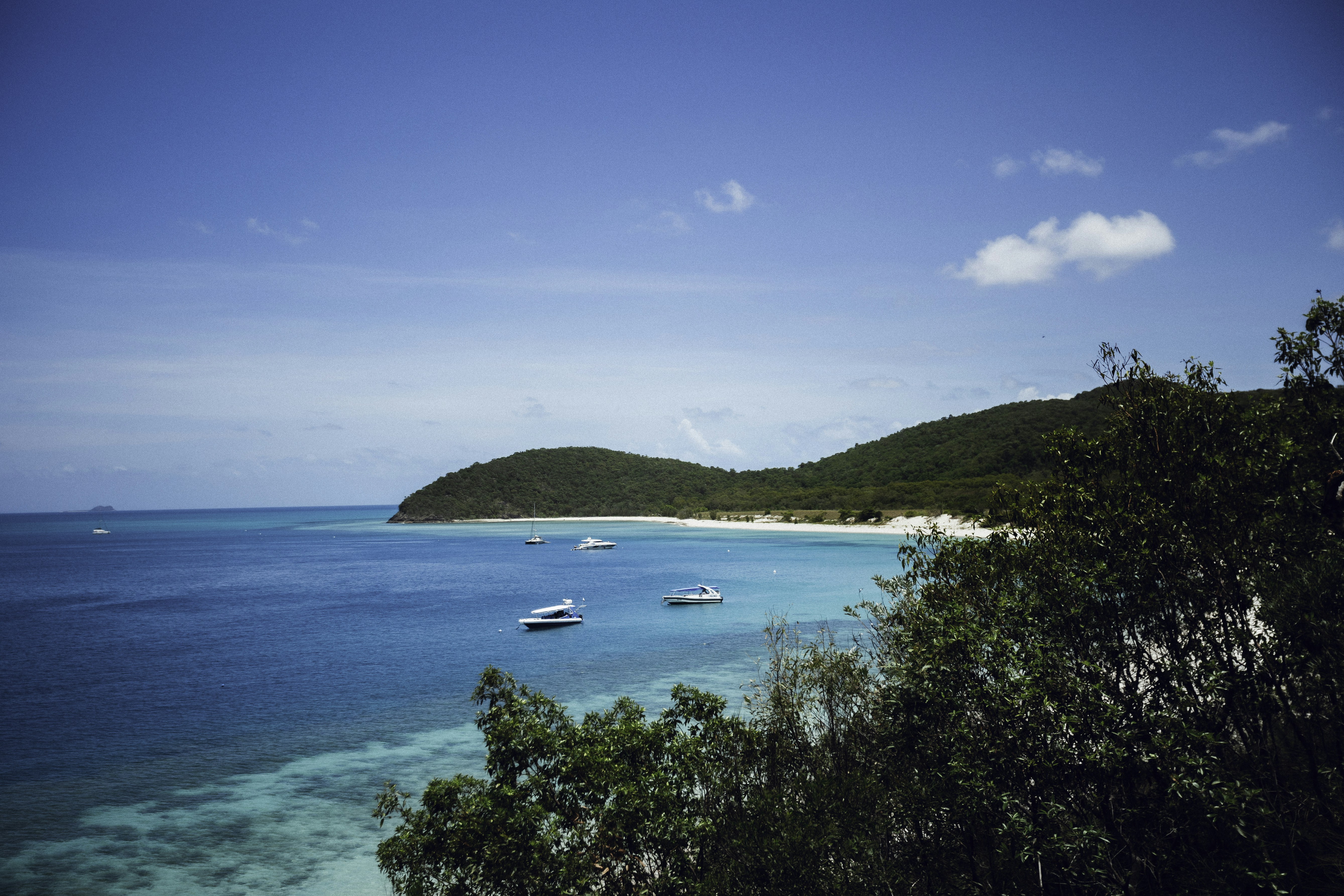 Photo by behindthetmuna