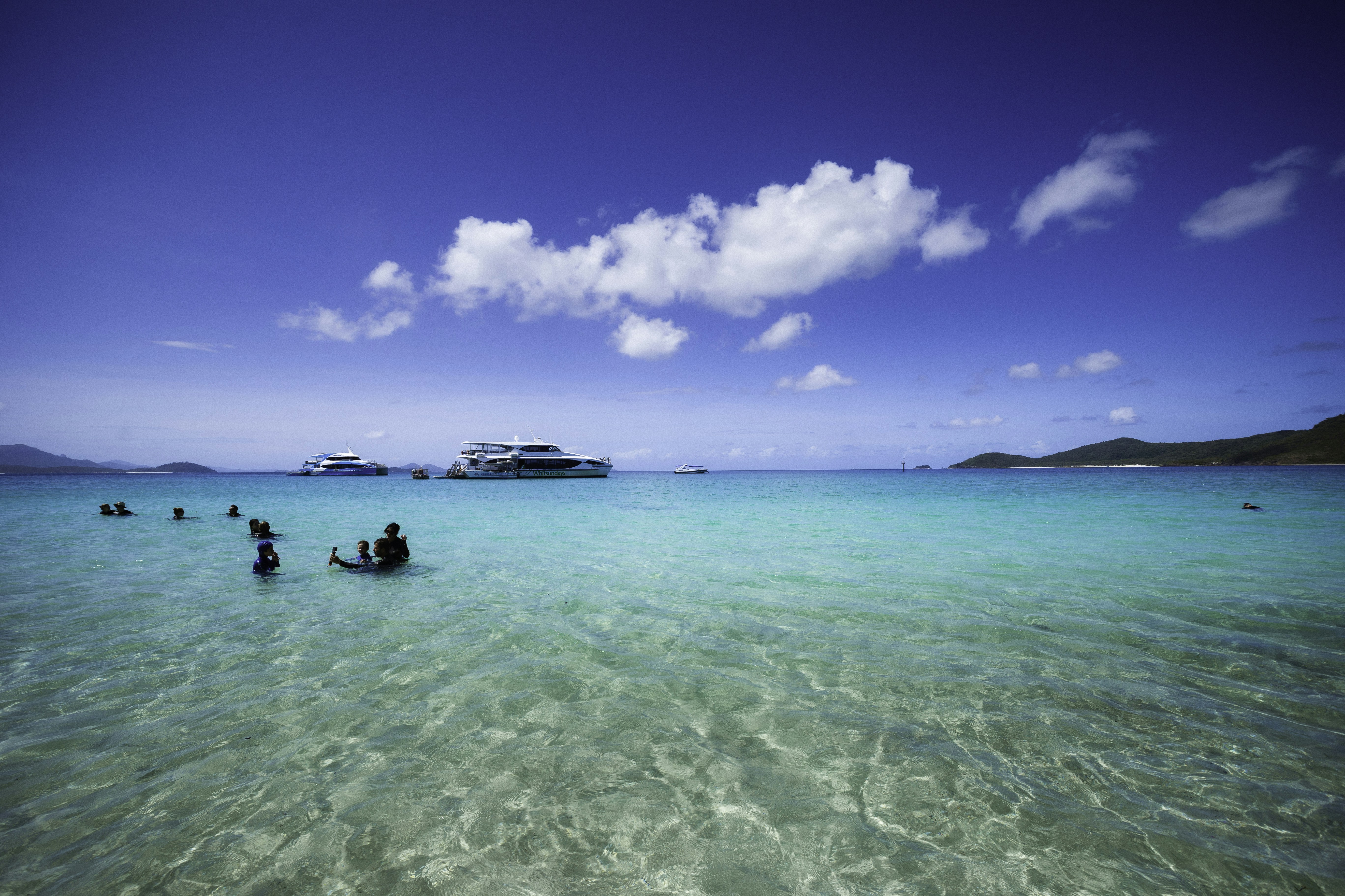 Photo by behindthetmuna