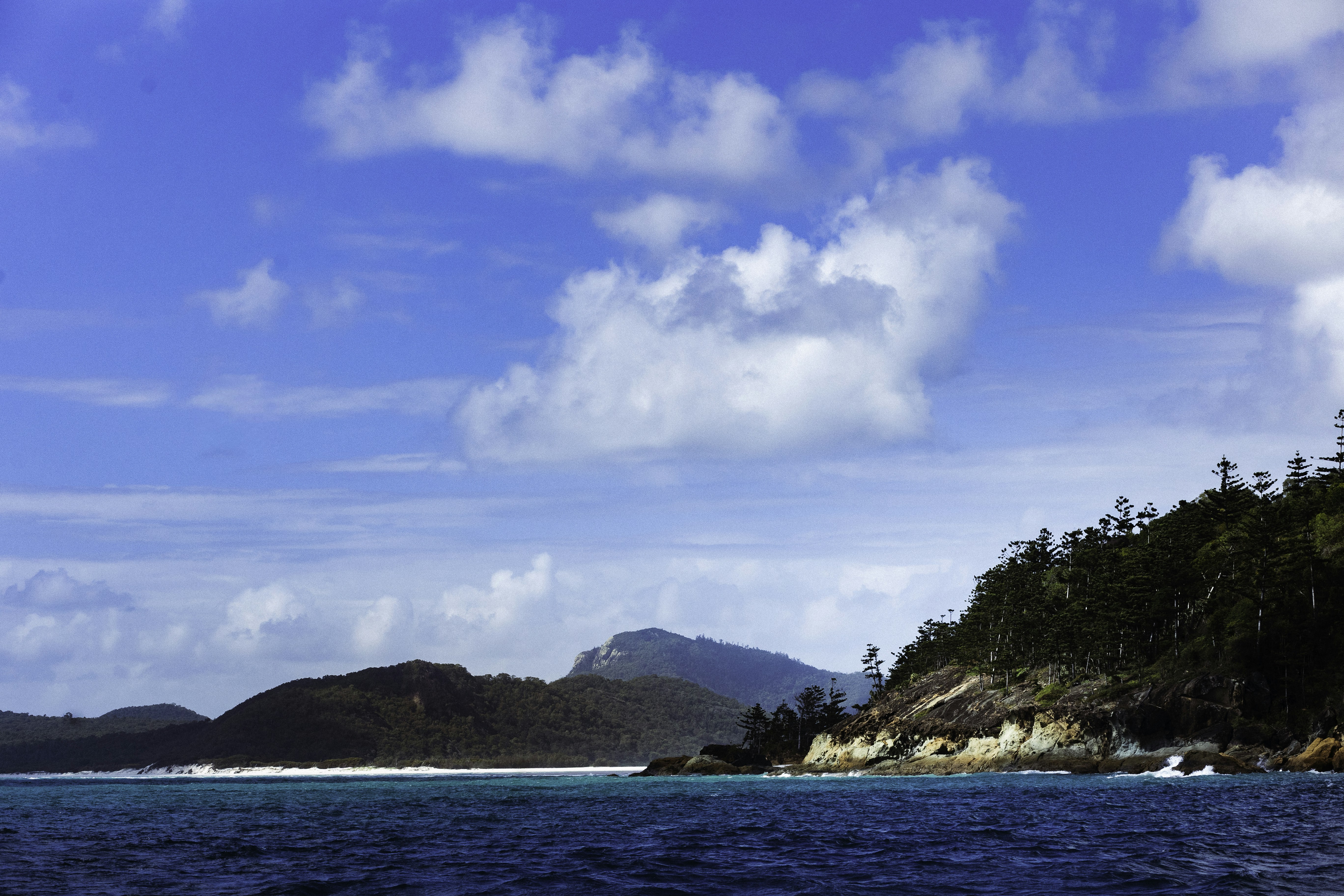 Photo by behindthetmuna