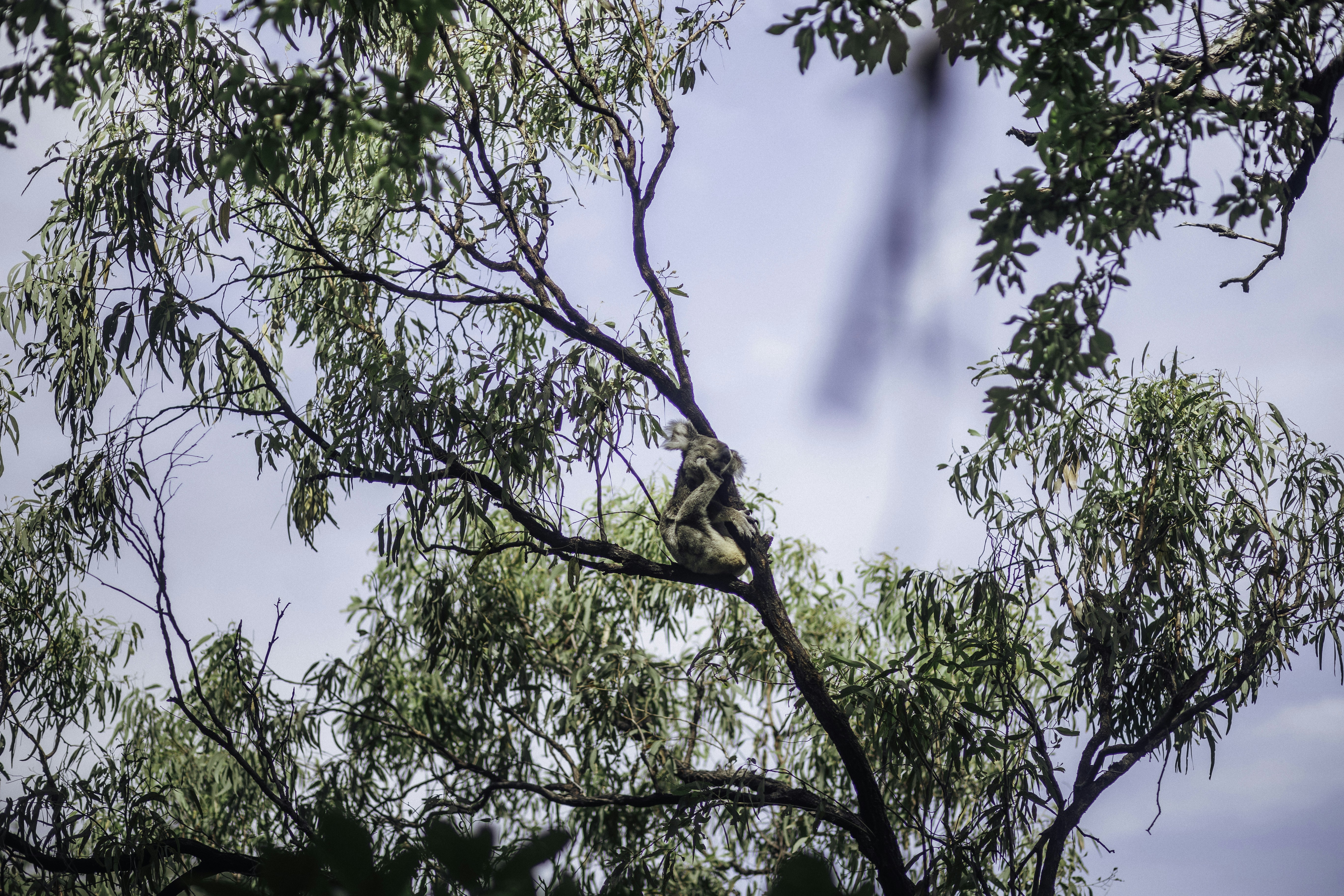 Photo by behindthetmuna