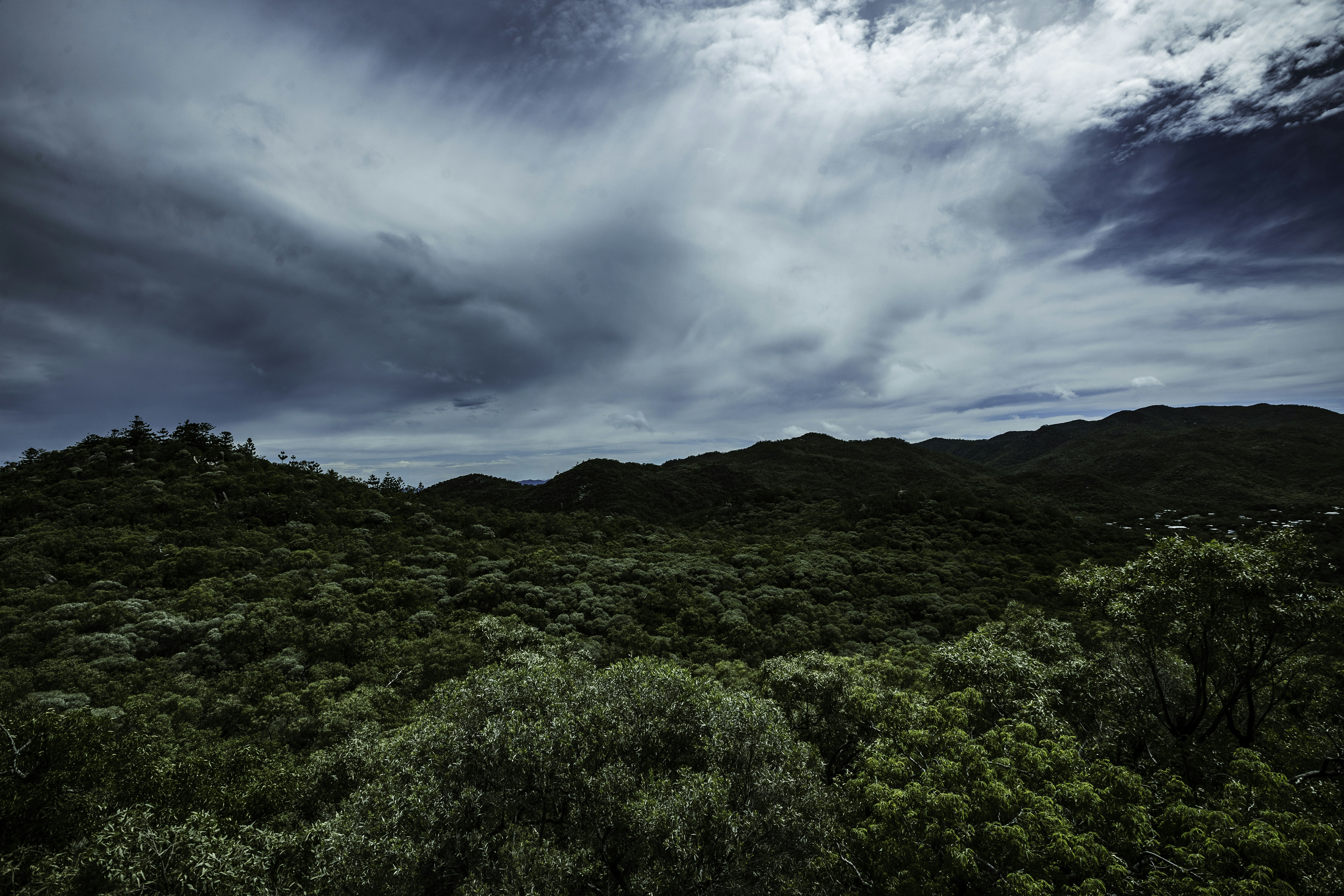 Photo by behindthetmuna