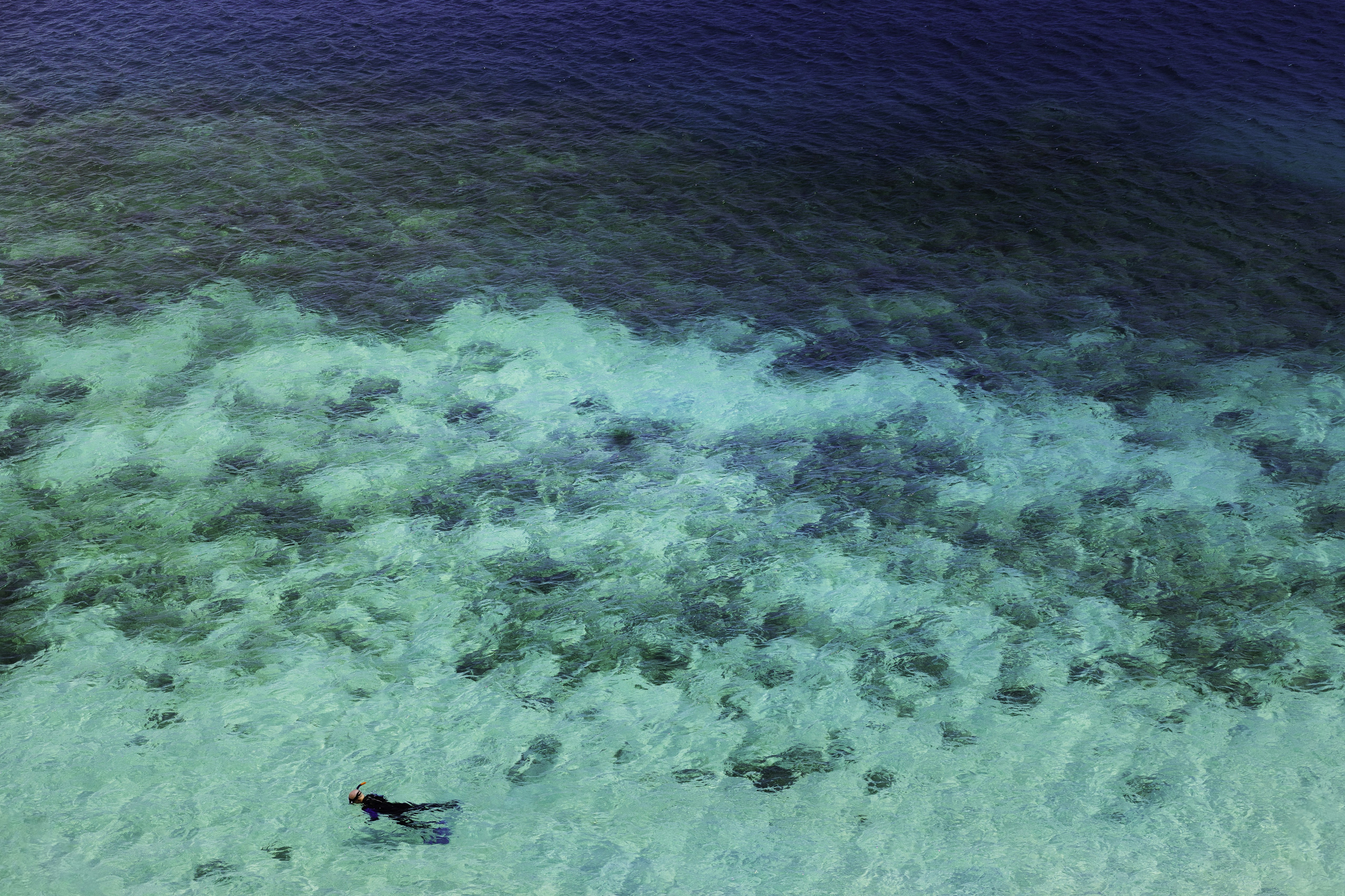 Photo by behindthetmuna