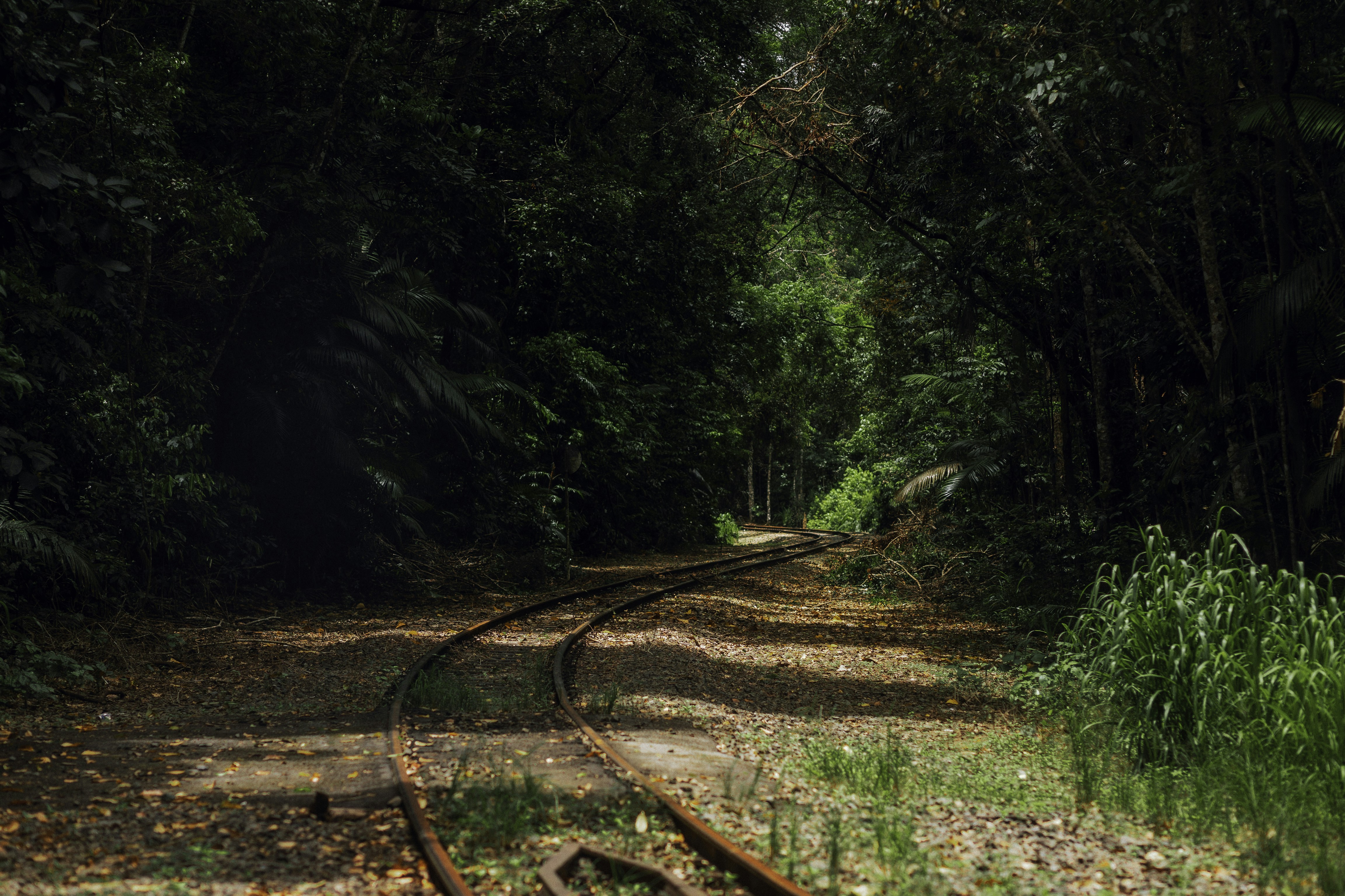 Photo by behindthetmuna