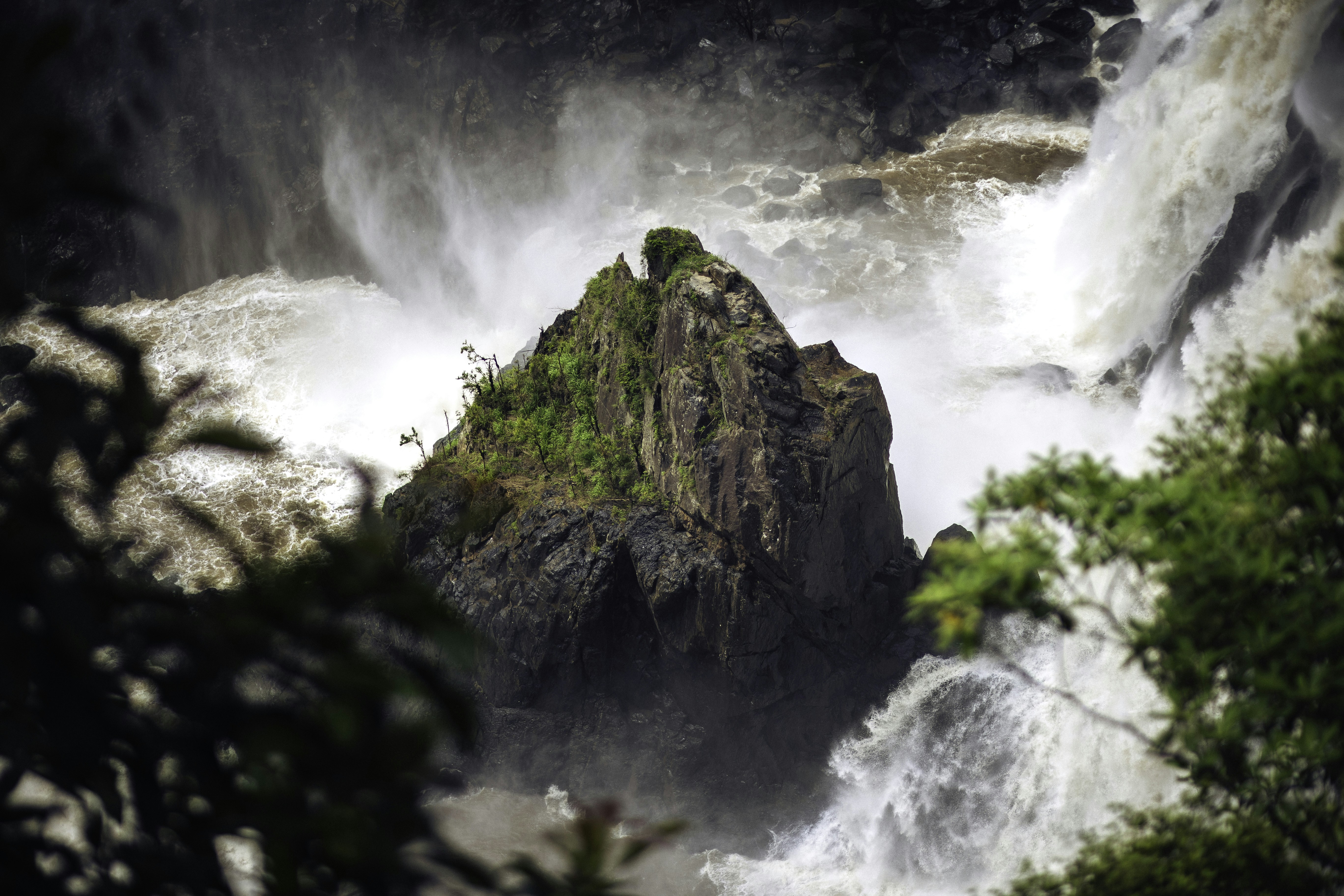 Photo by behindthetmuna