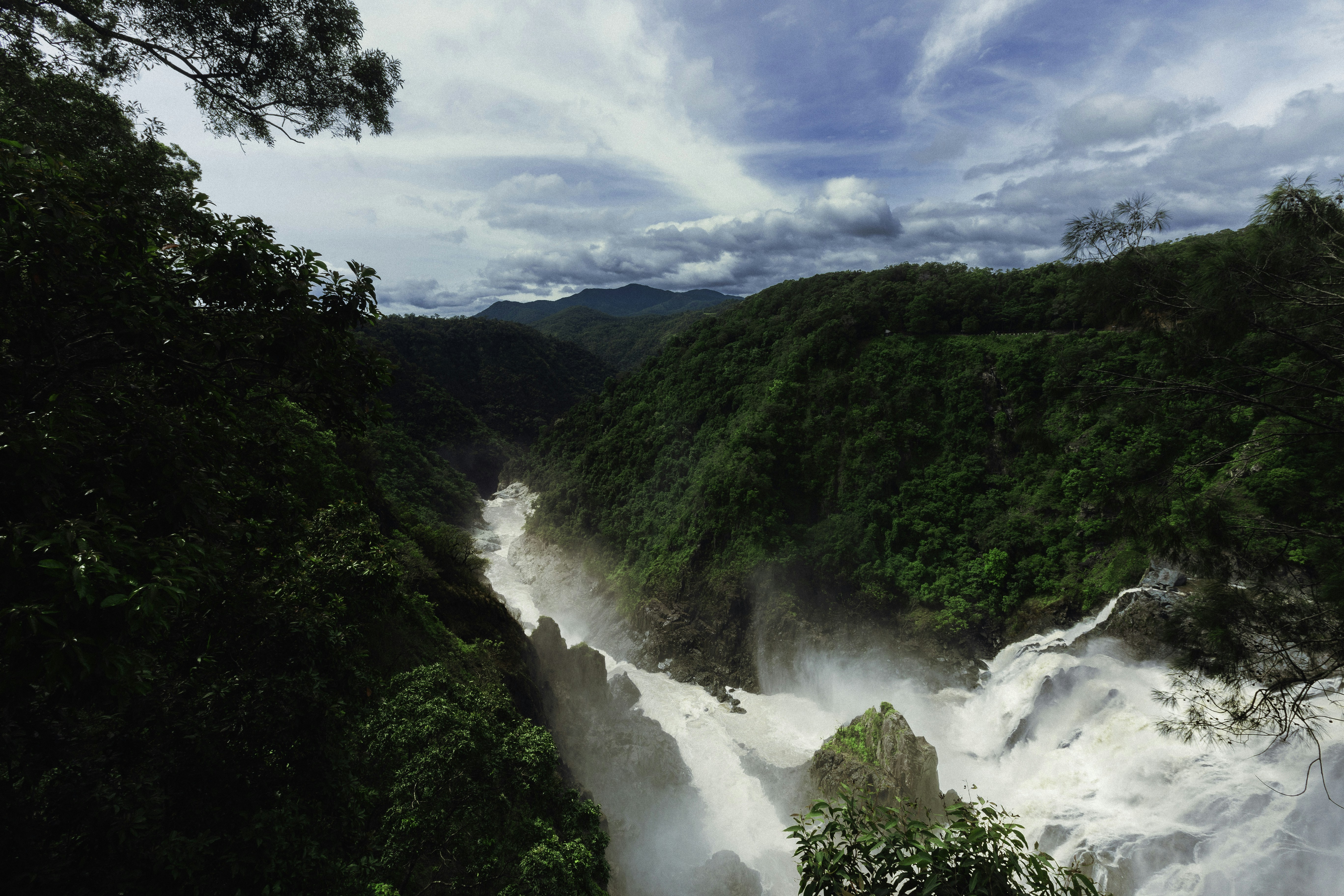 Photo by behindthetmuna