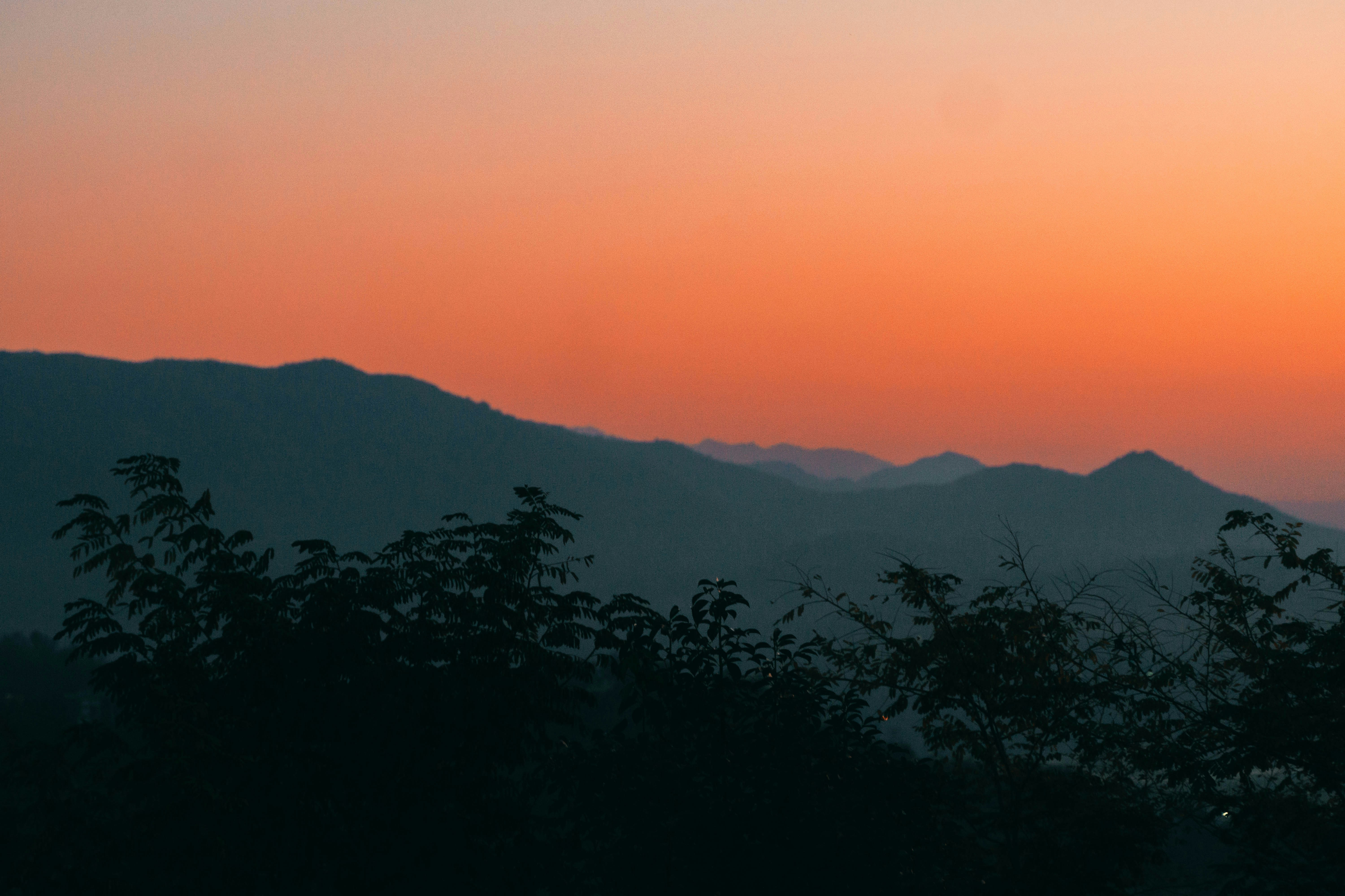 Photo by abalashevsky