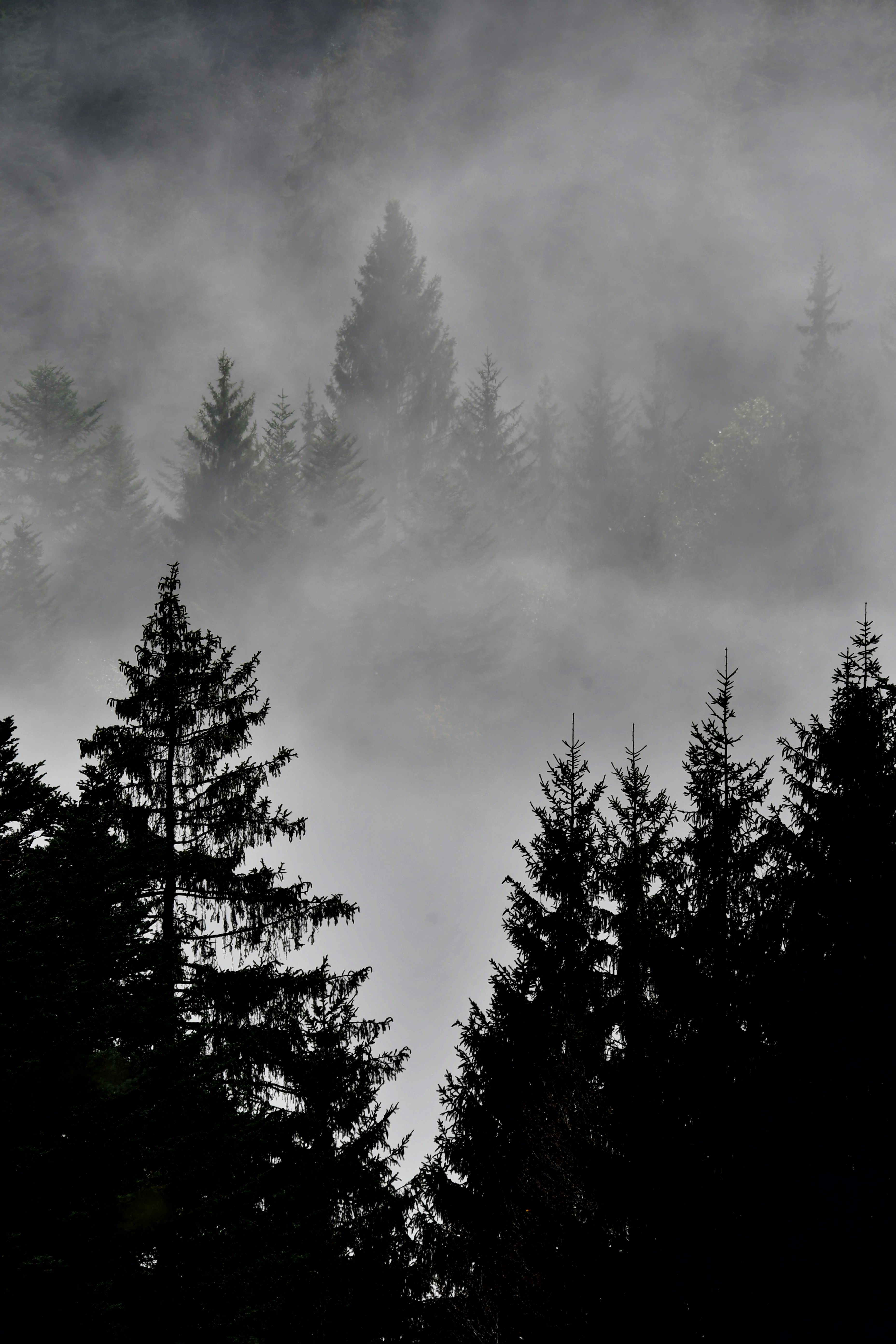 Photo by pedrino5_official