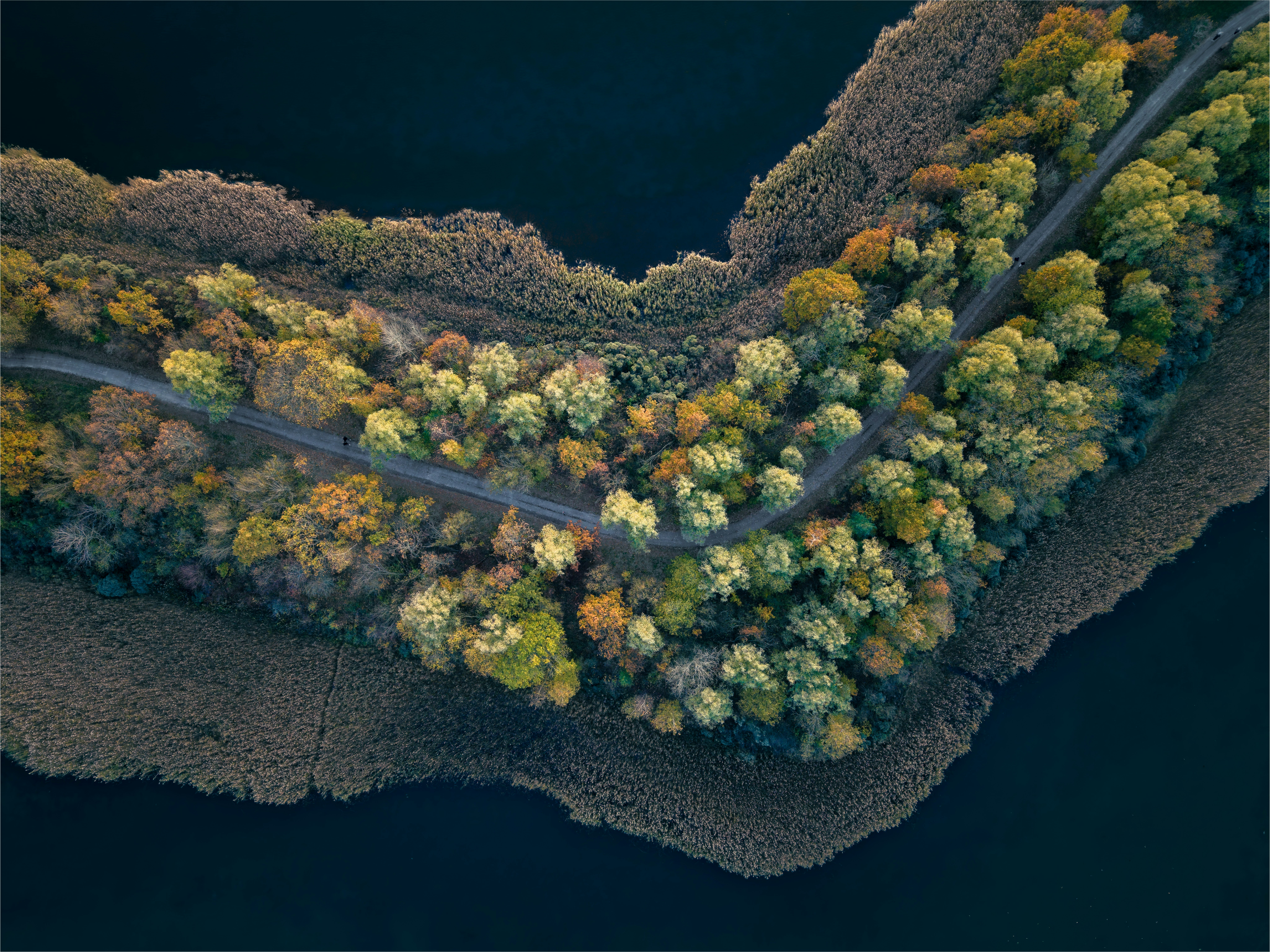 Photo by wordenskjold