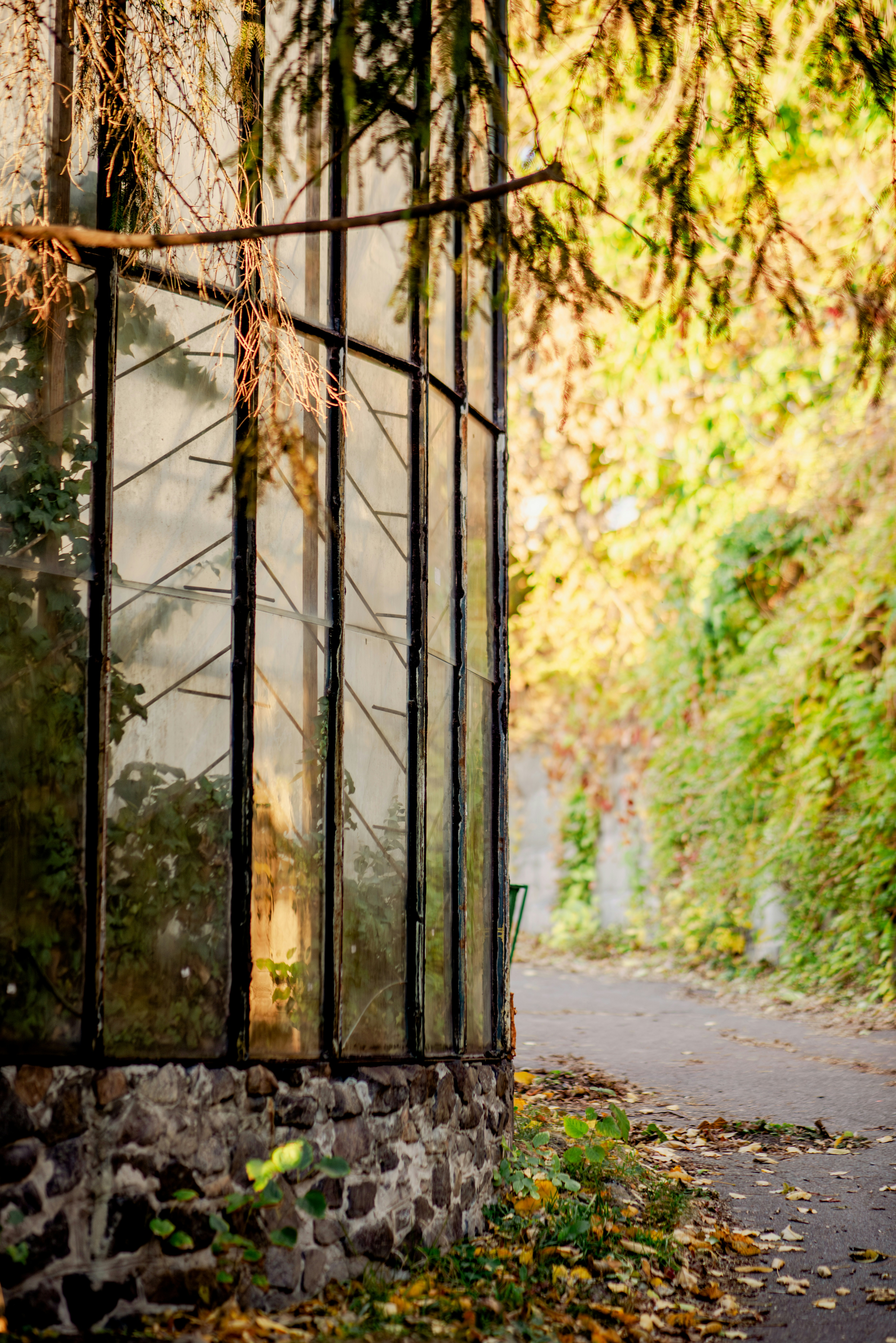 Photo by eugenivy_now