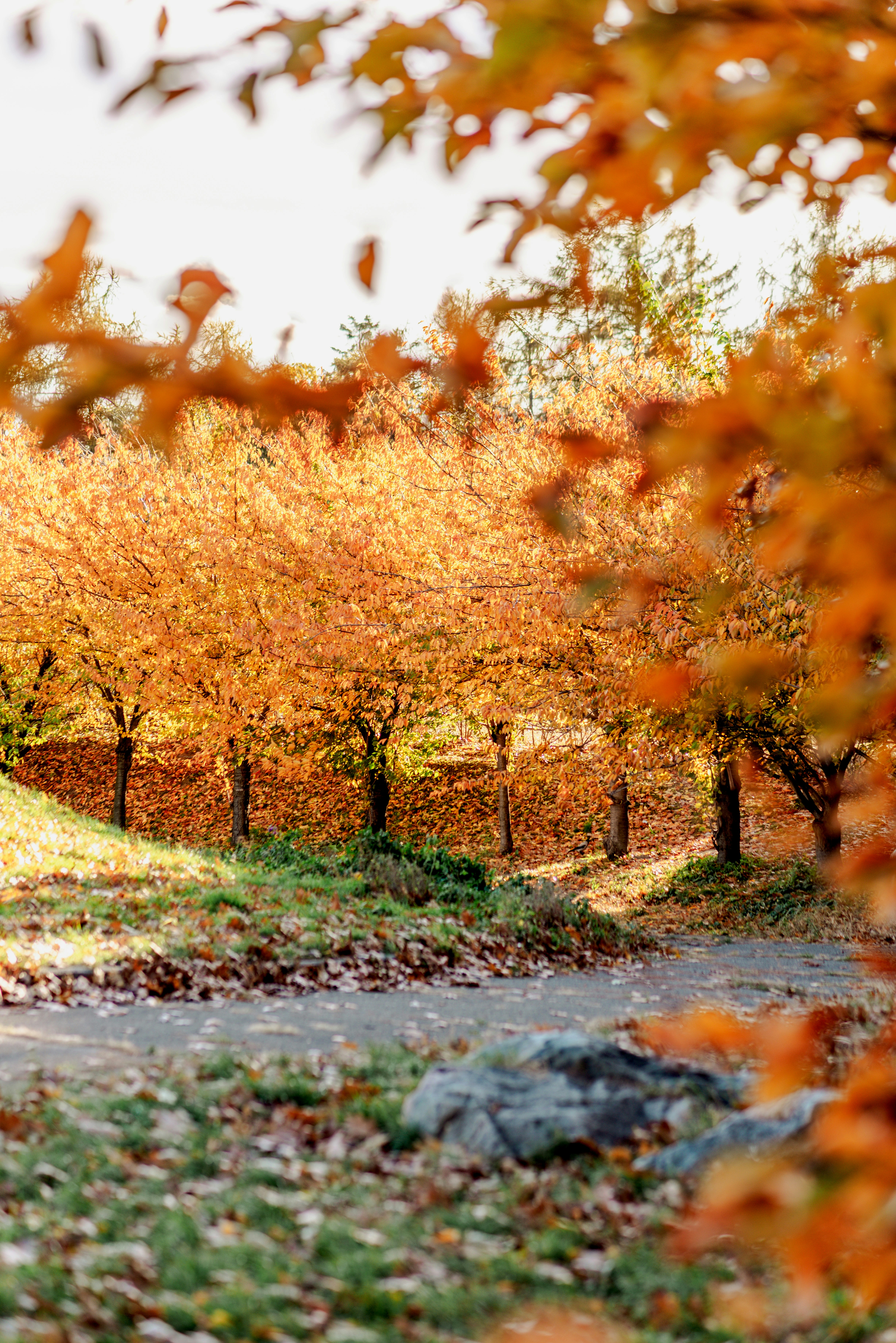 Photo by eugenivy_now