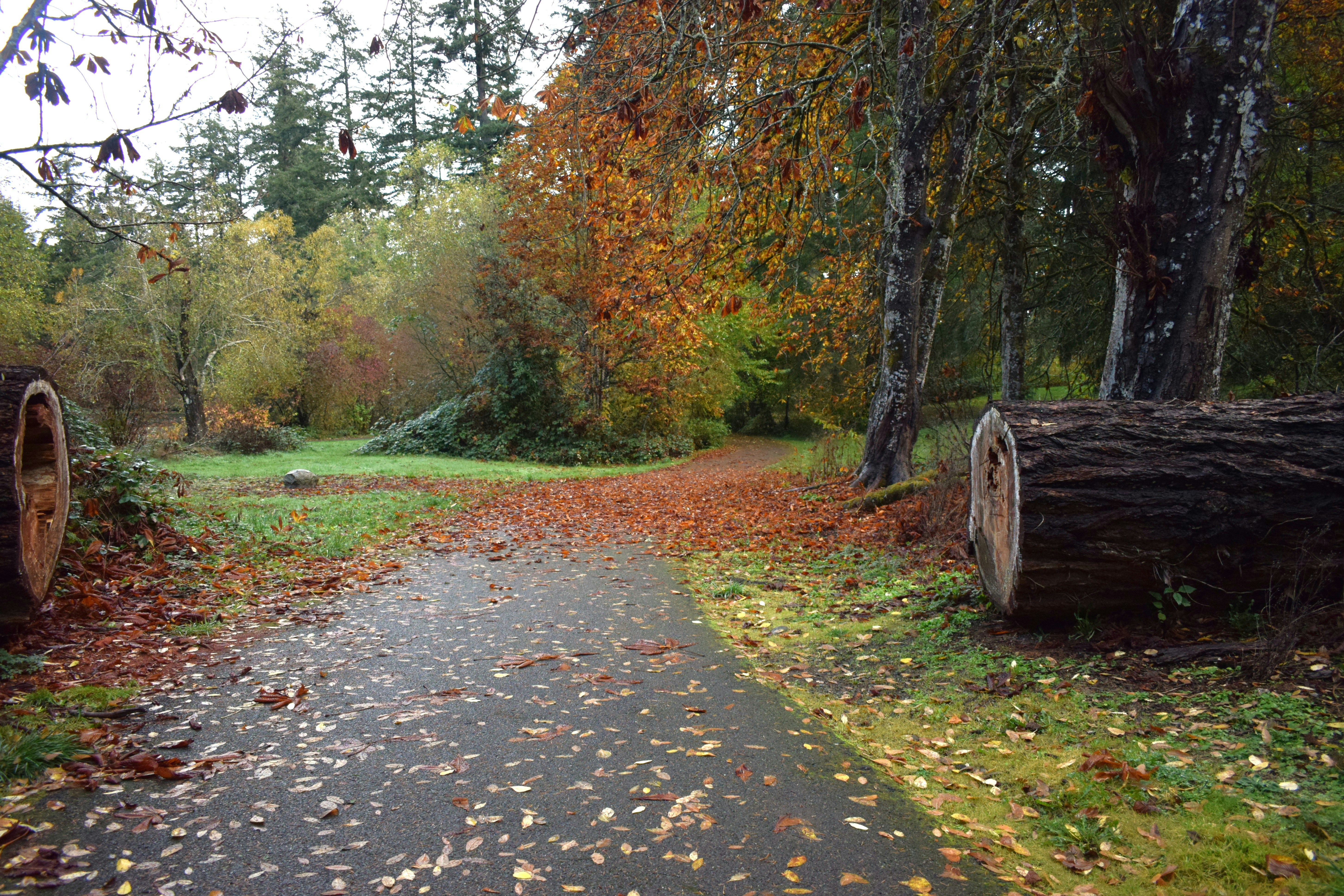 Washington County Family Park