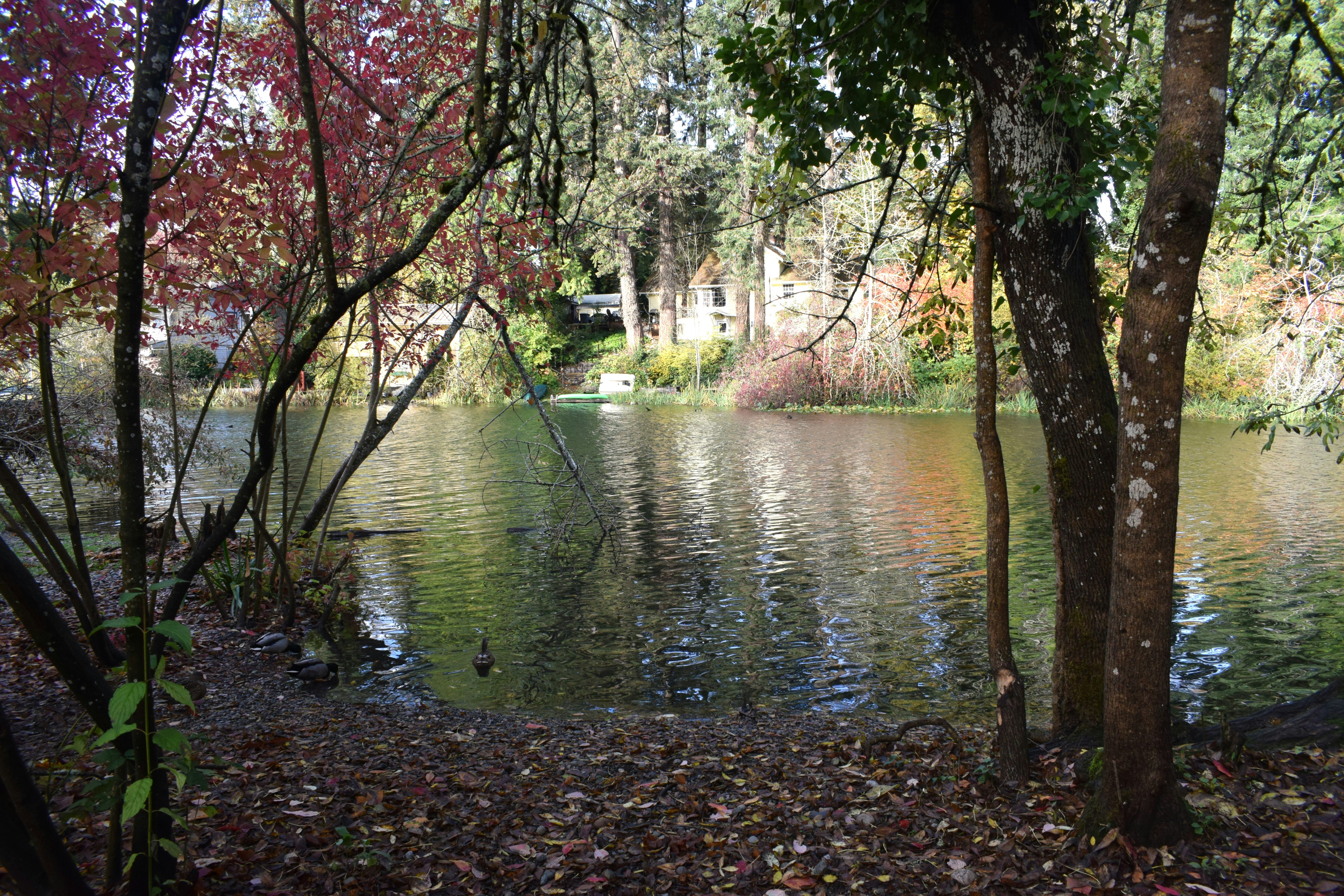 Understanding the Wetland Delineation Process