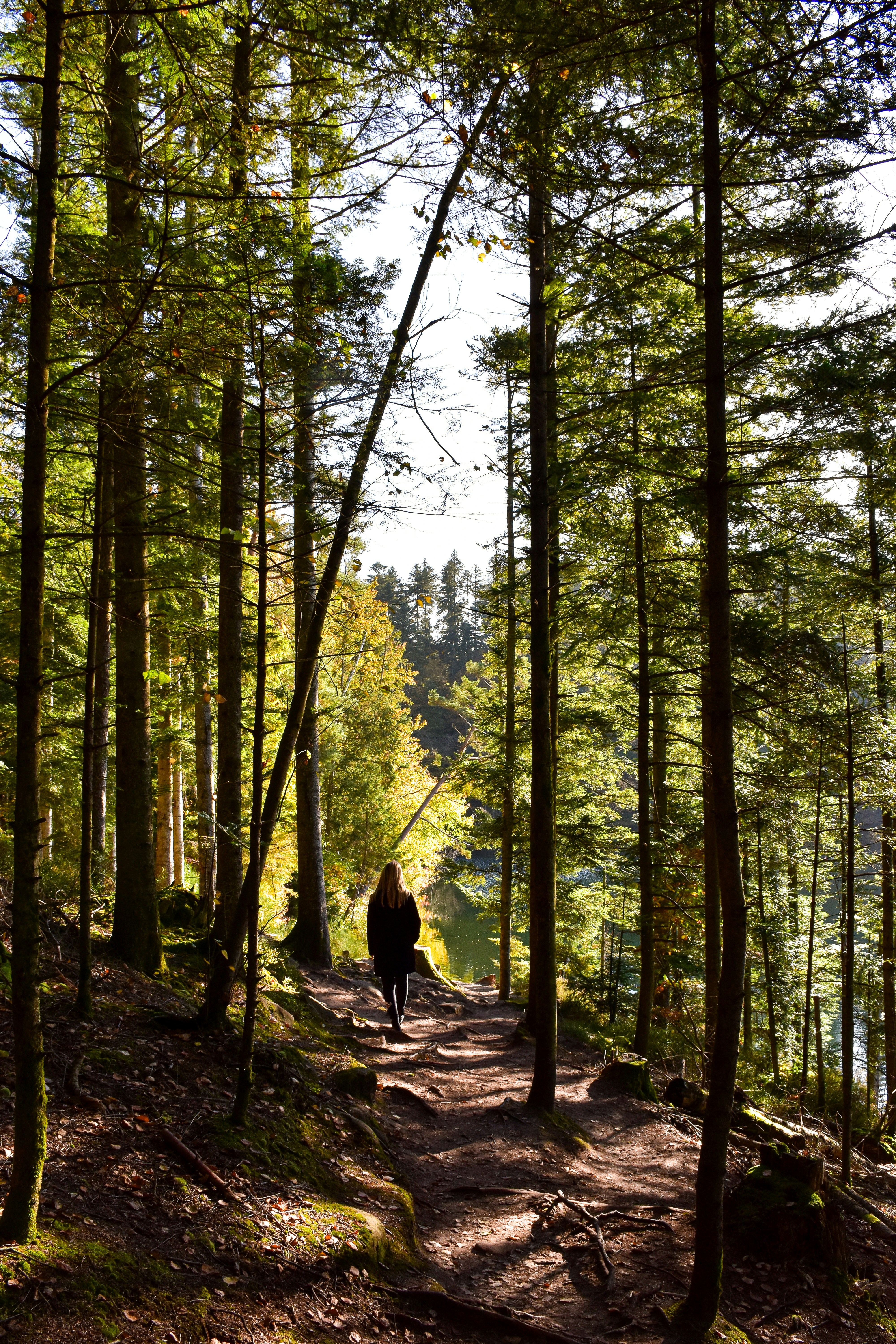 A person walking down a path in the woods photo – Free France Image on ...