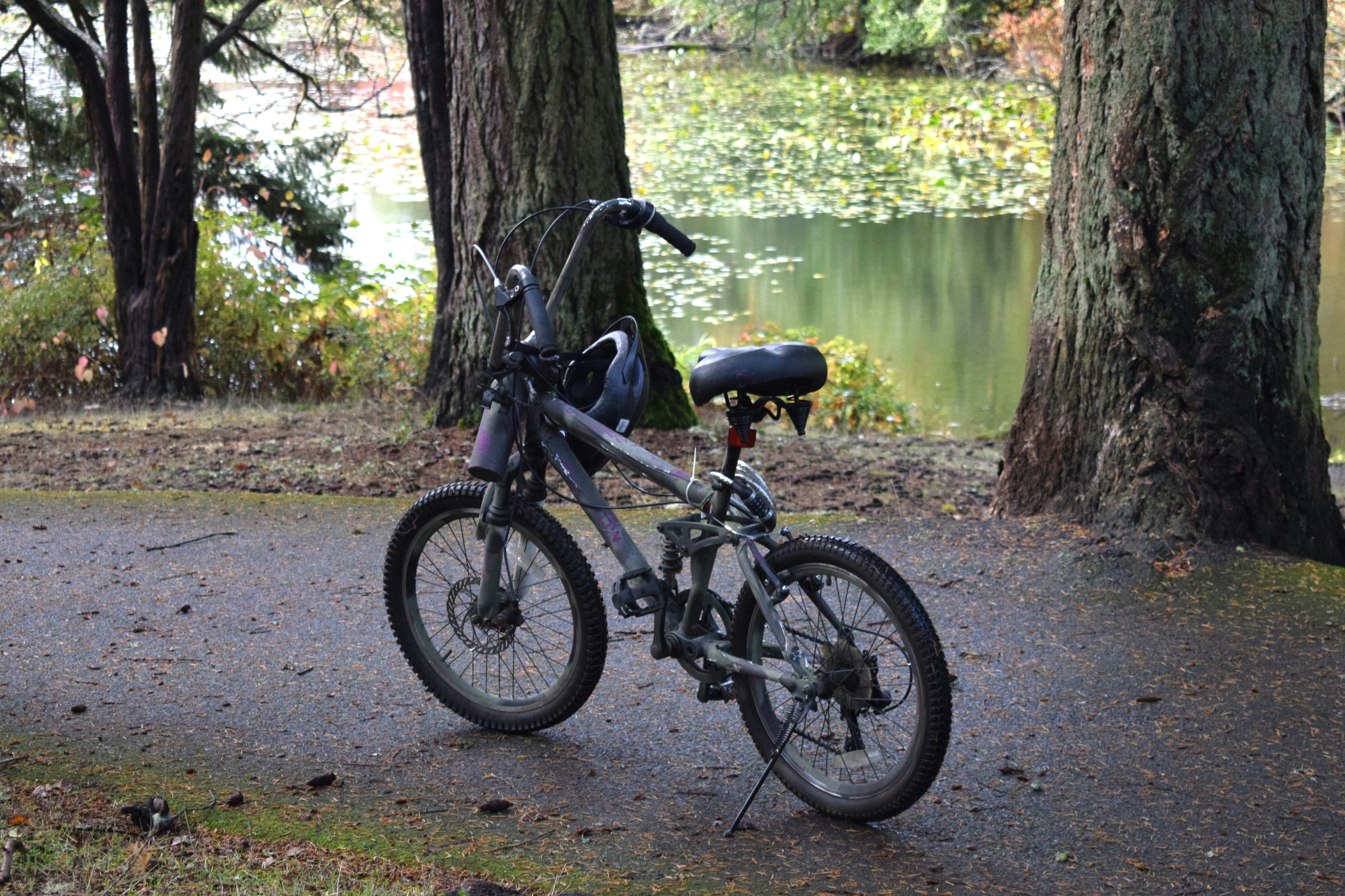 A bicycle parked on a path near a lake