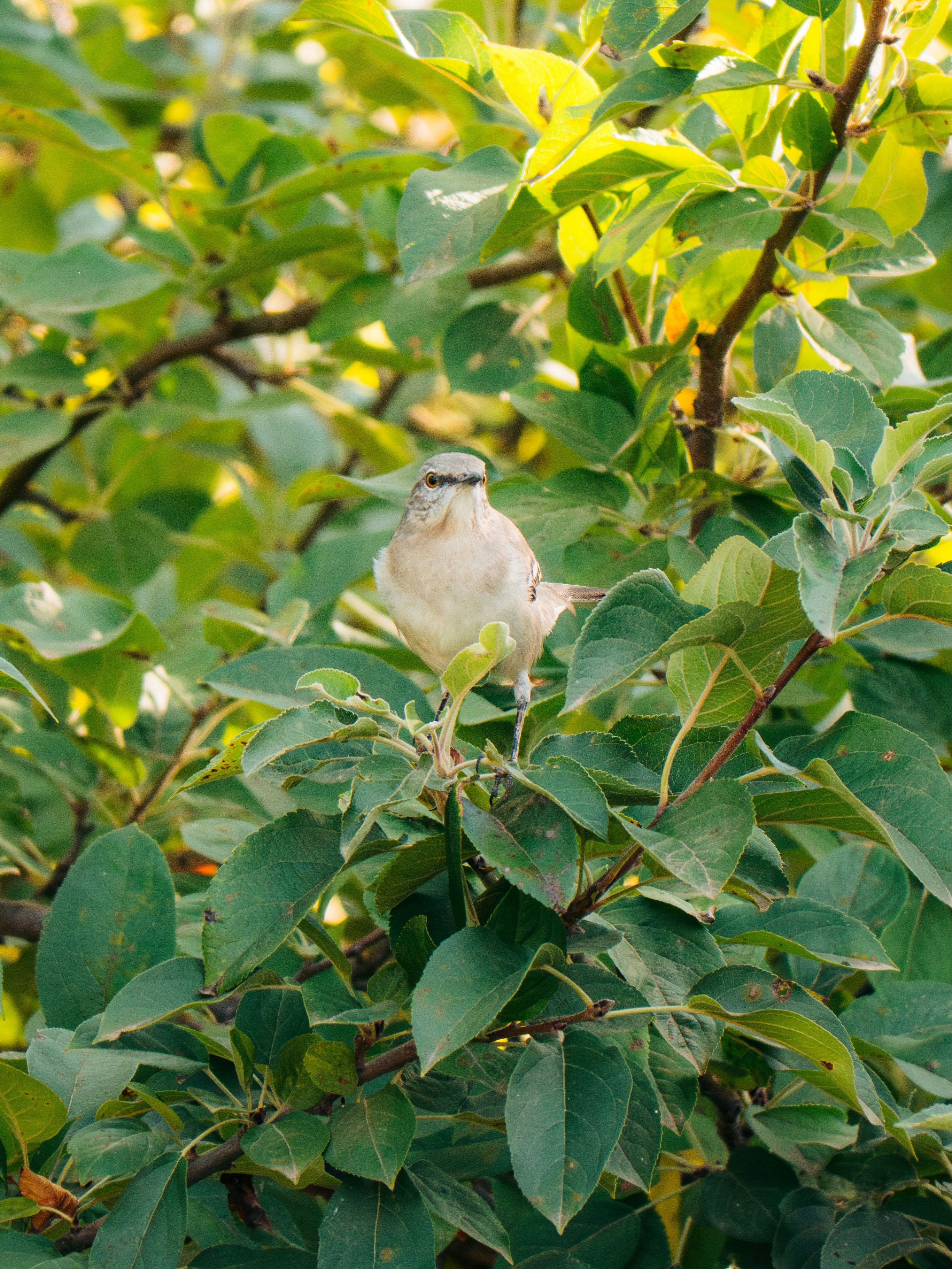 Photo by boomitskota