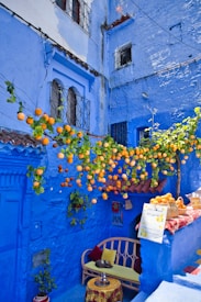 A blue alleyway with oranges hanging from it