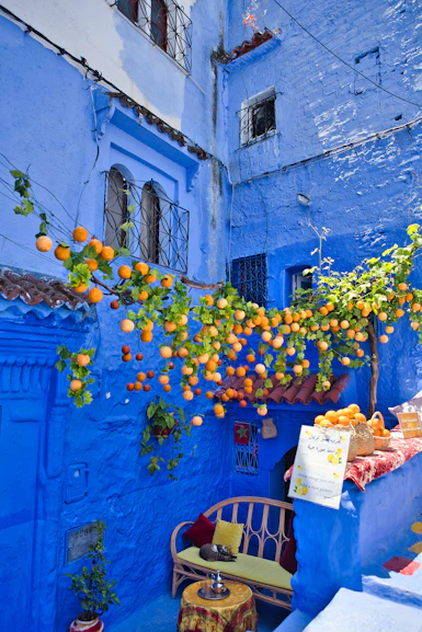 A blue alleyway with oranges hanging from it