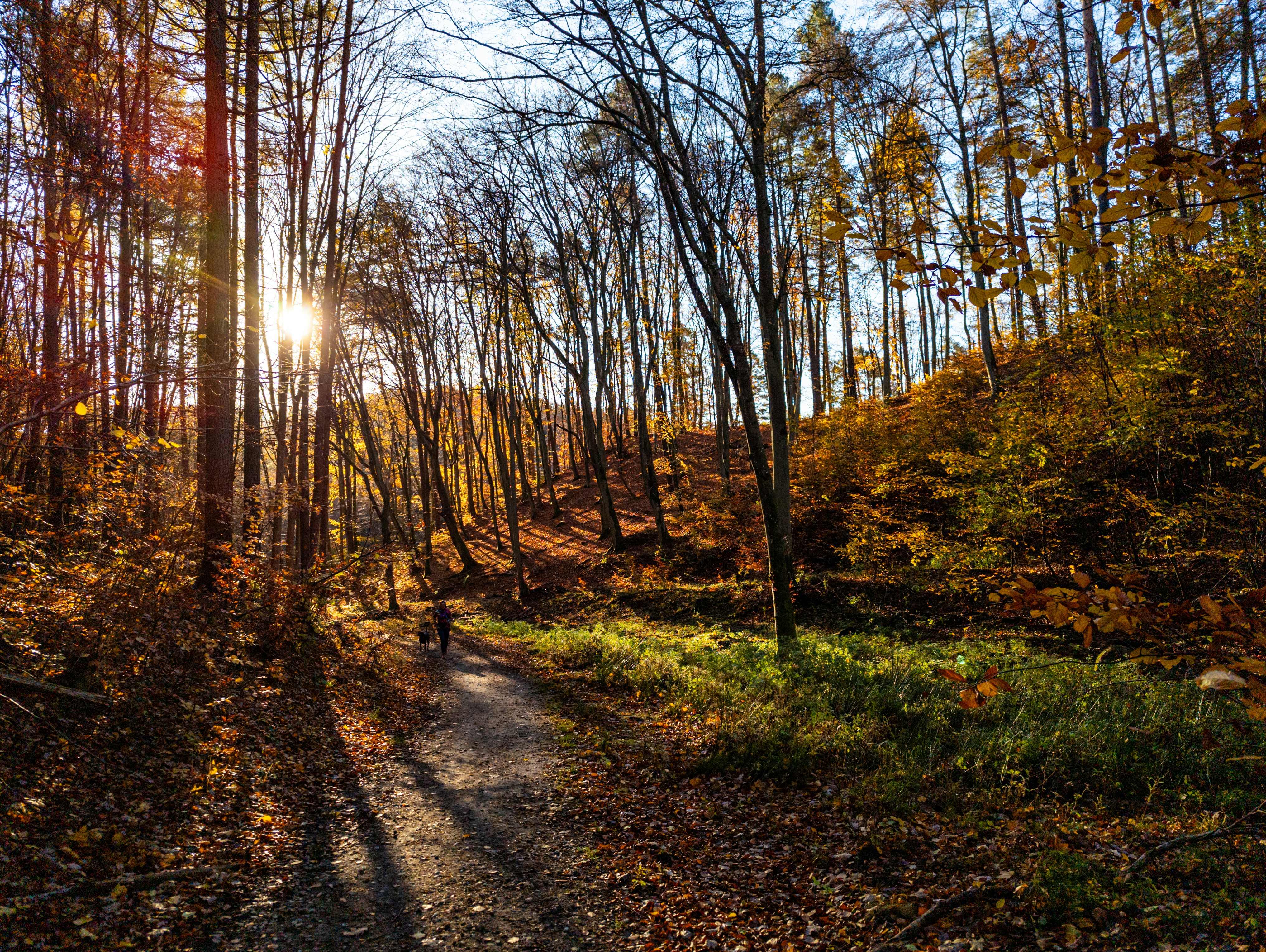 Photo by mszerszynski