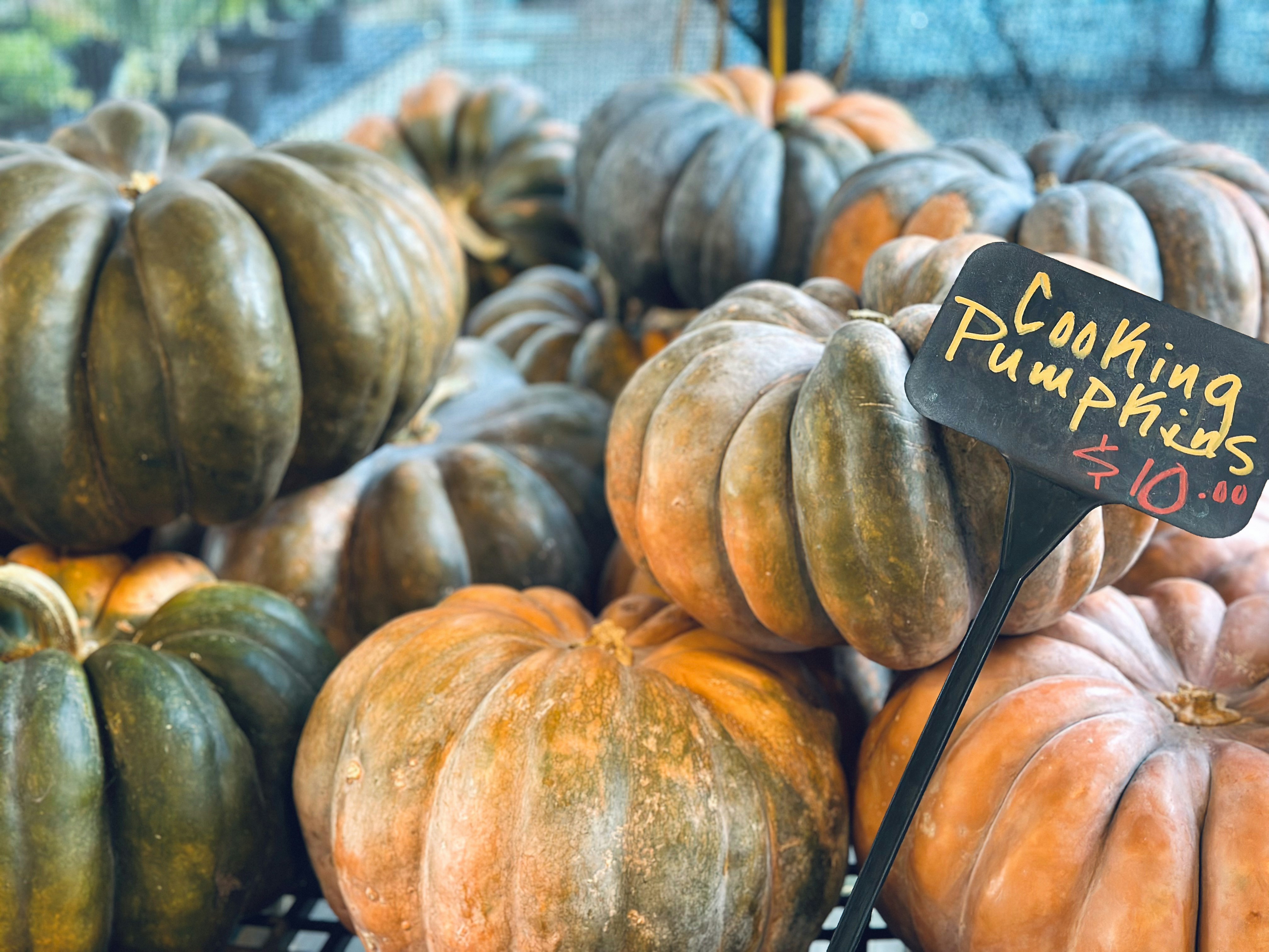 farmers market aesthetic, wallpaper, Farmers Market Outfits: Cute & Comfortable Style 3