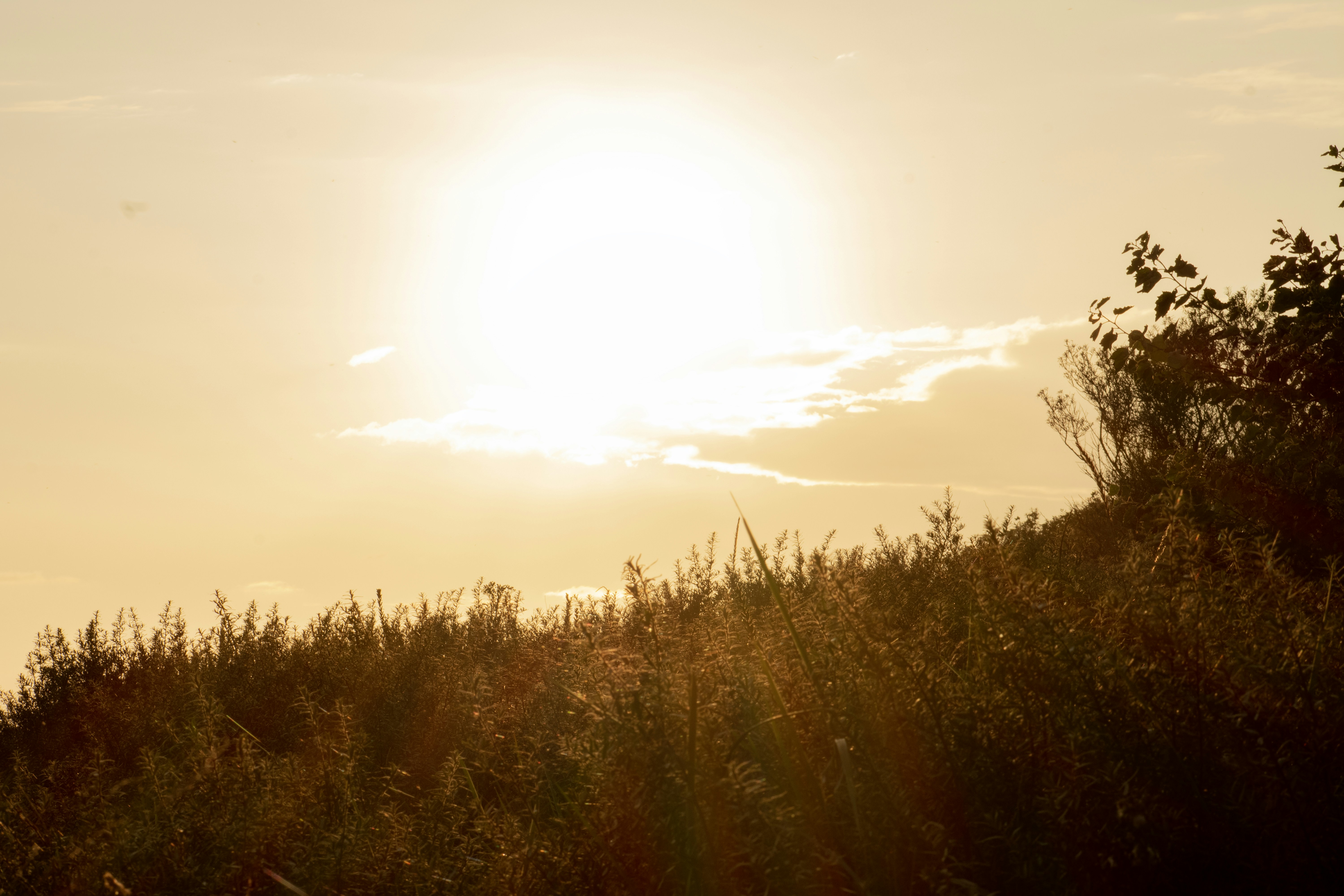 Photo by poppy_waddington