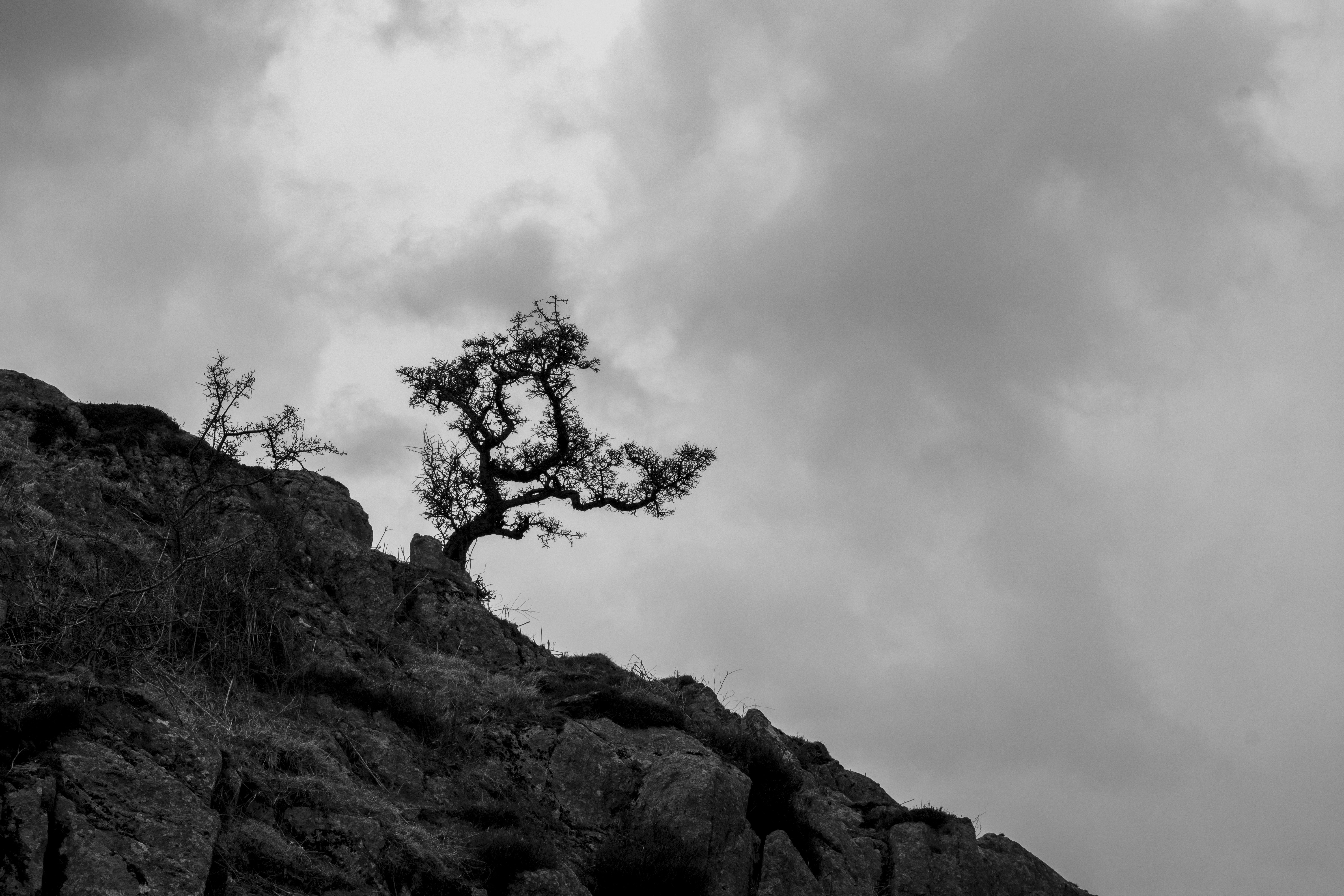 Photo by poppy_waddington