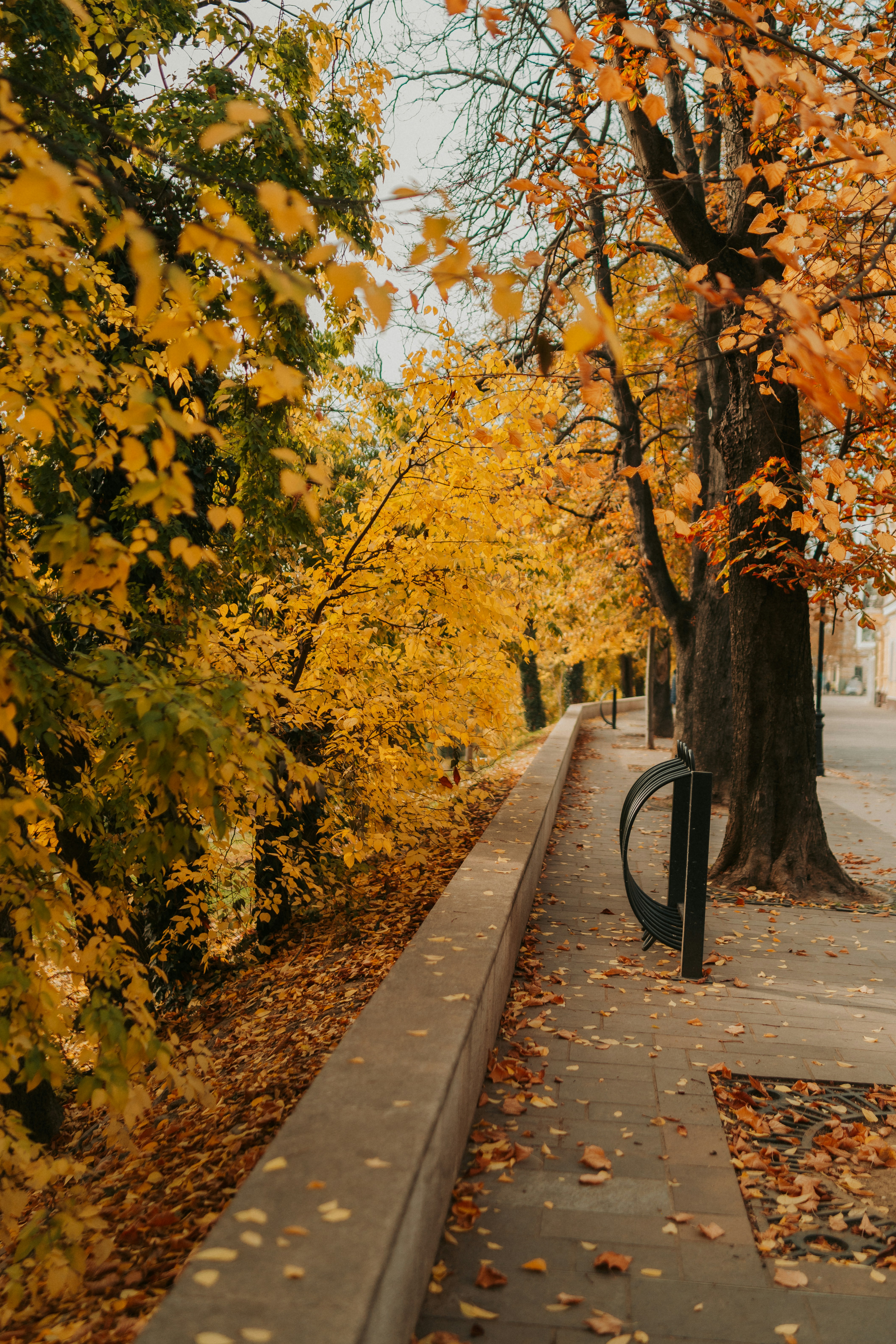 Photo by rebecatrifan