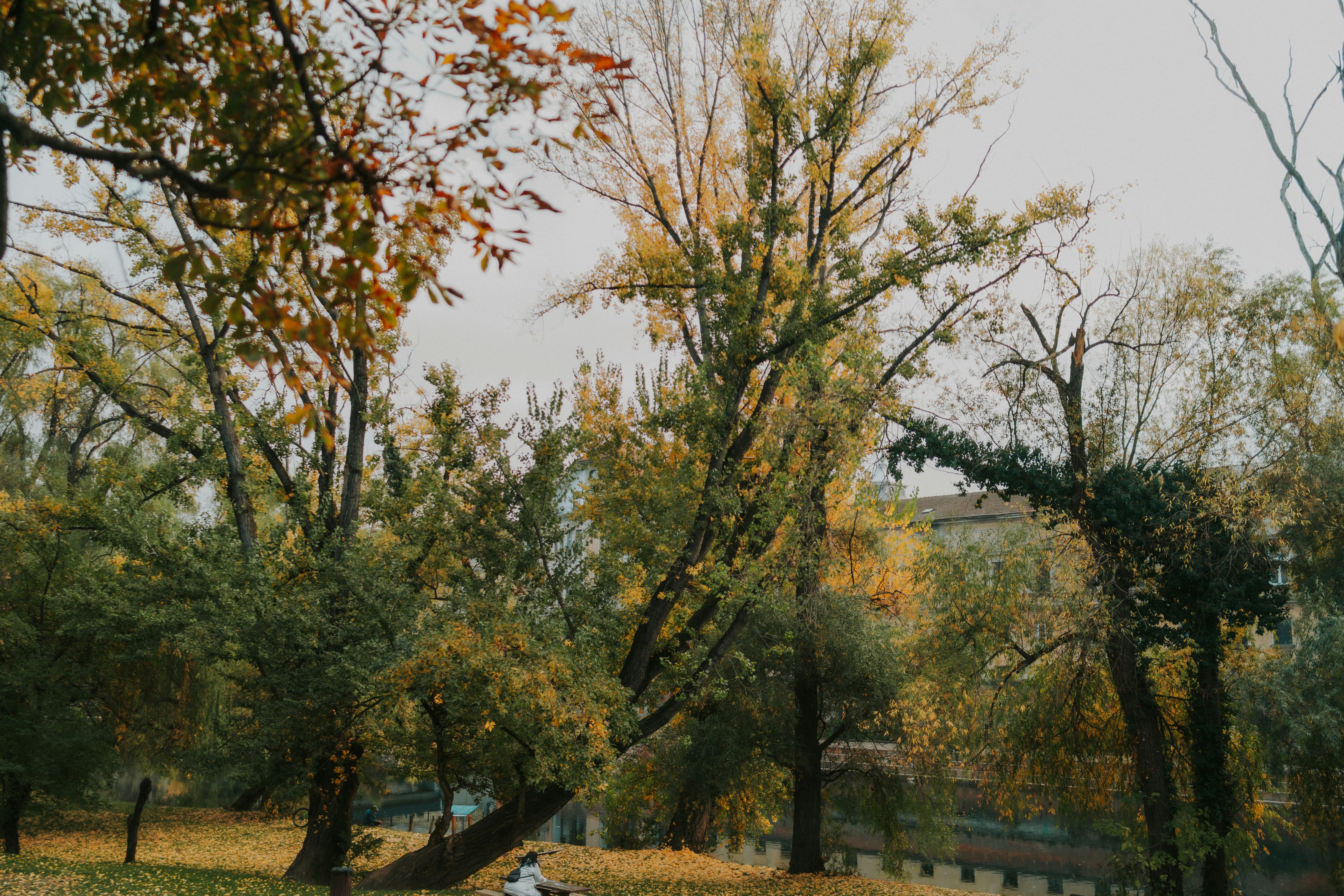 Photo by rebecatrifan