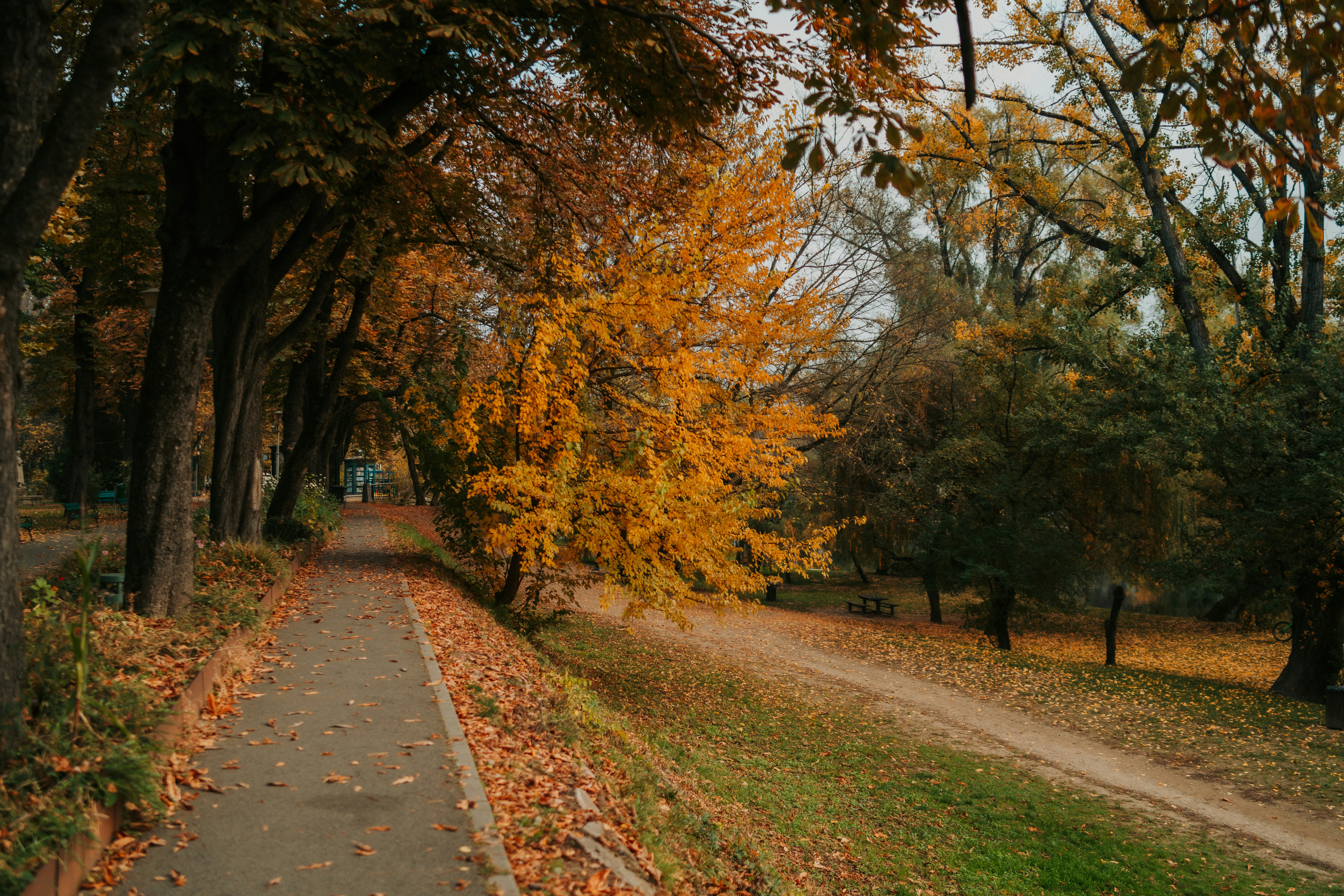 Photo by rebecatrifan