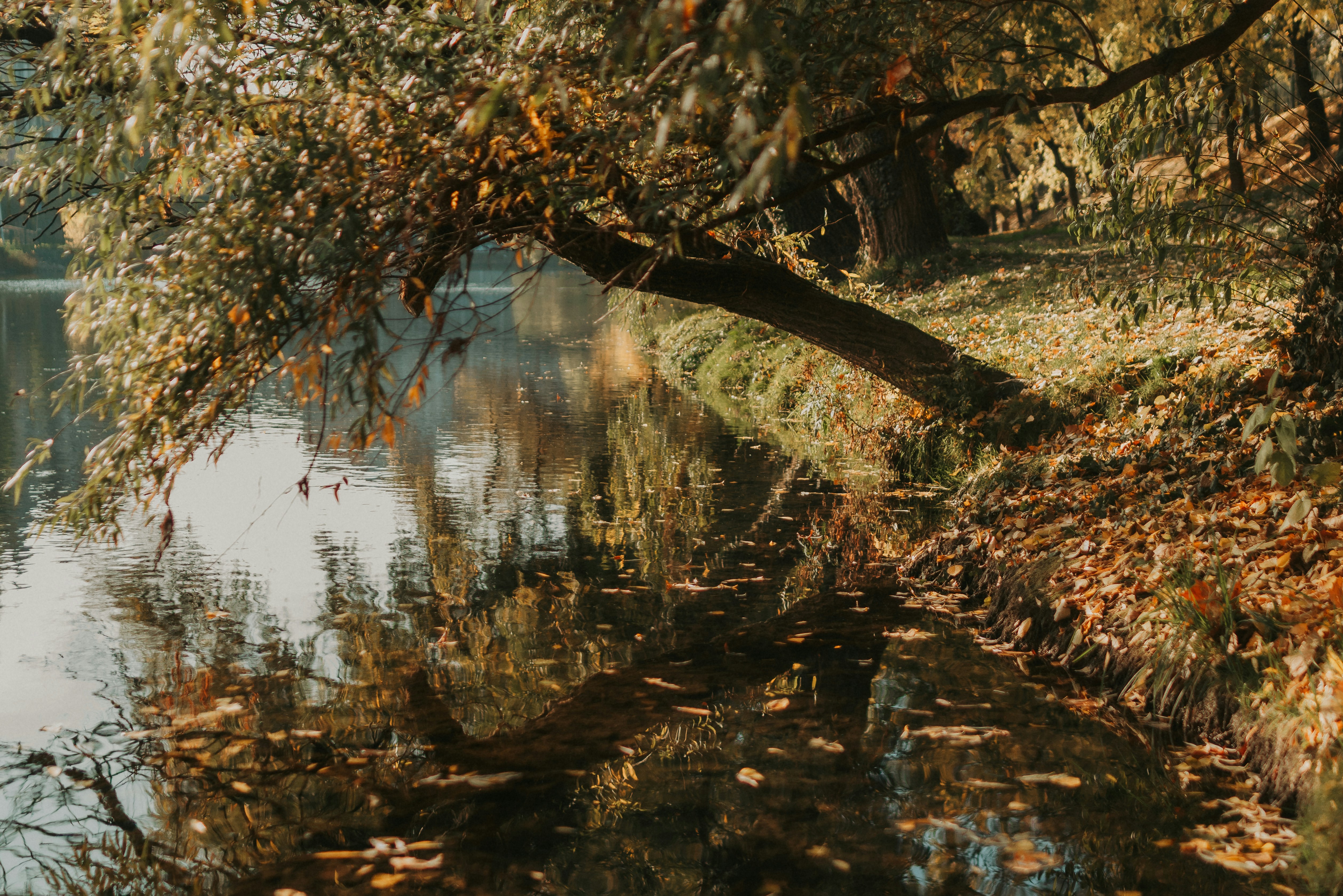 Photo by rebecatrifan