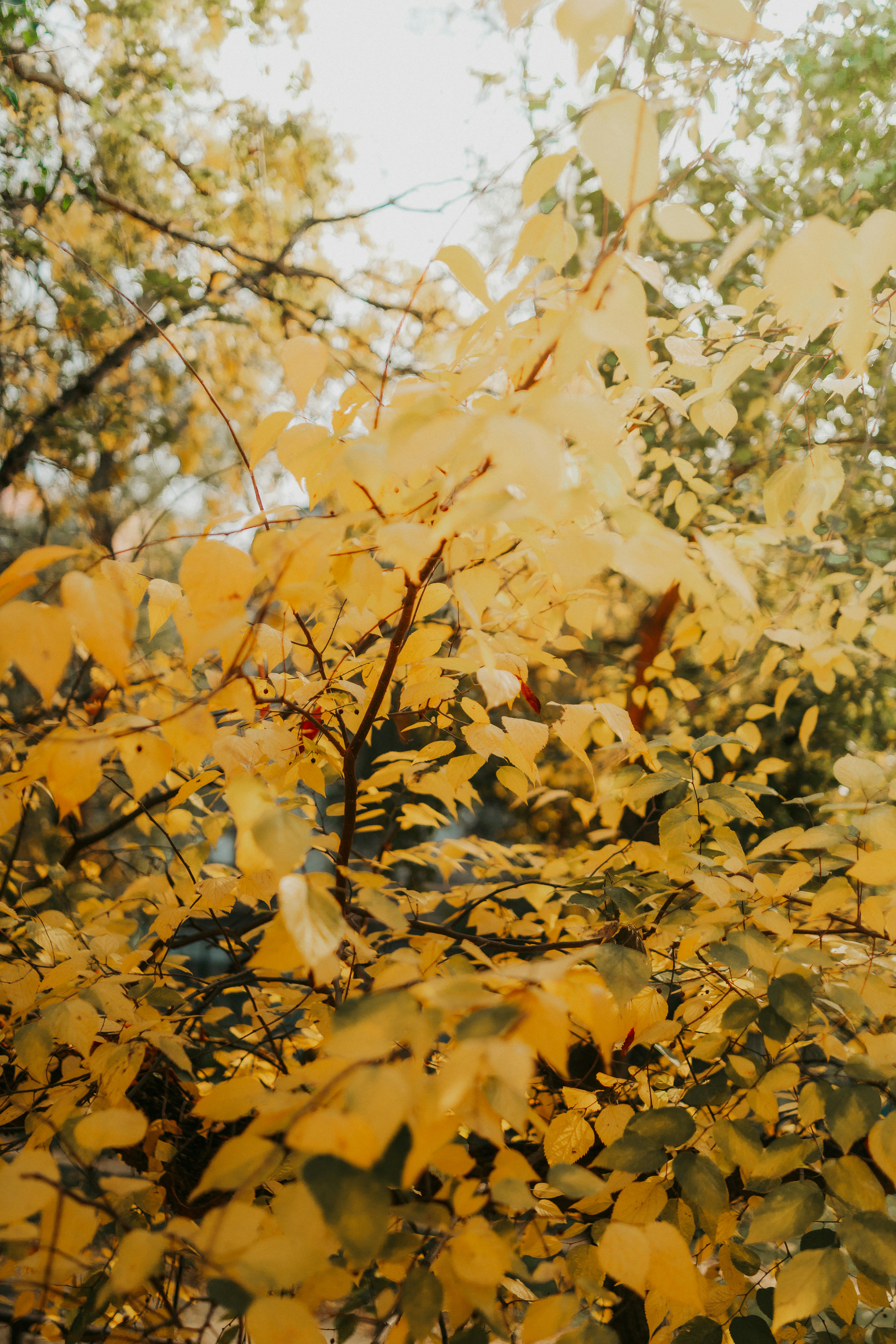 Photo by rebecatrifan