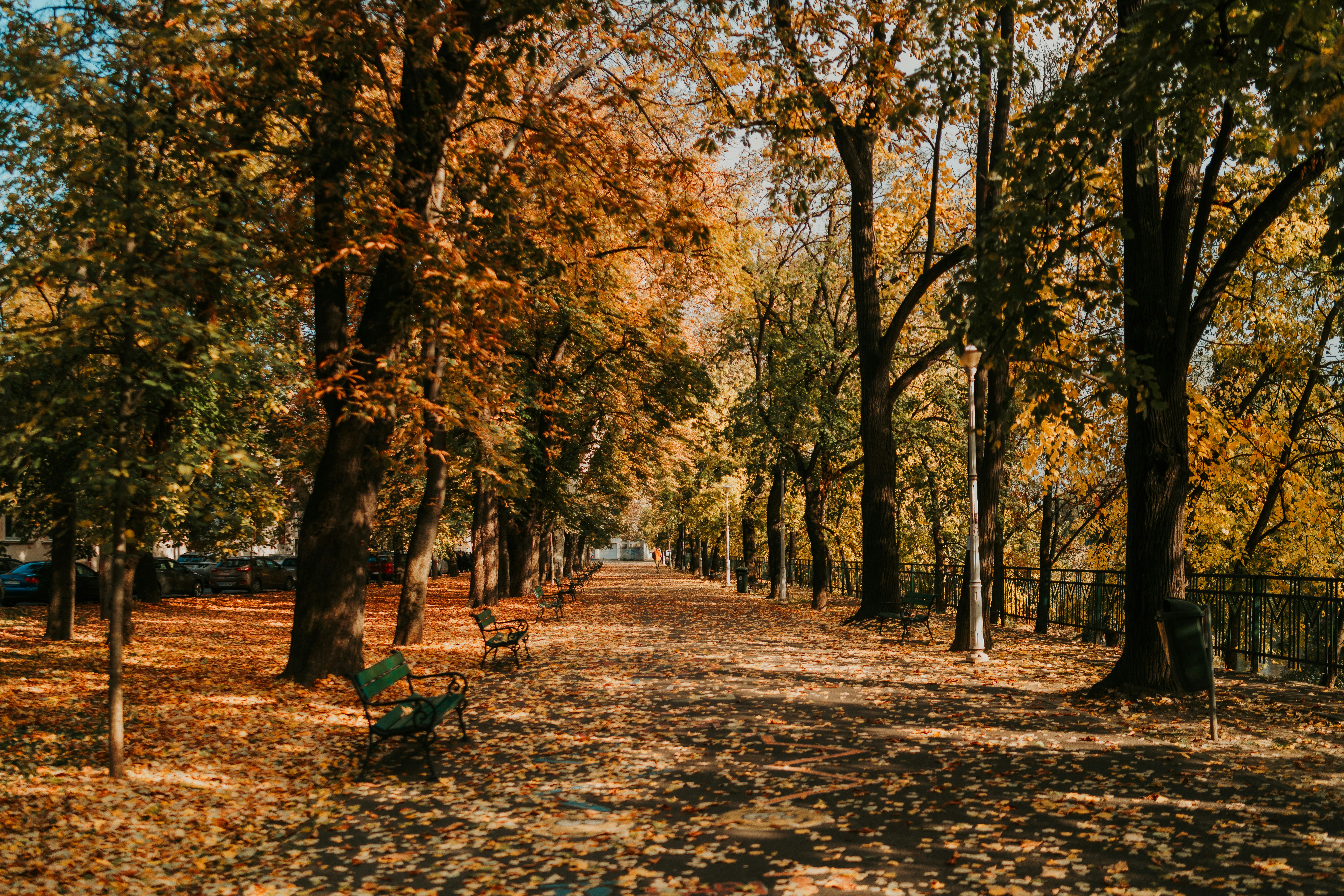 Photo by rebecatrifan