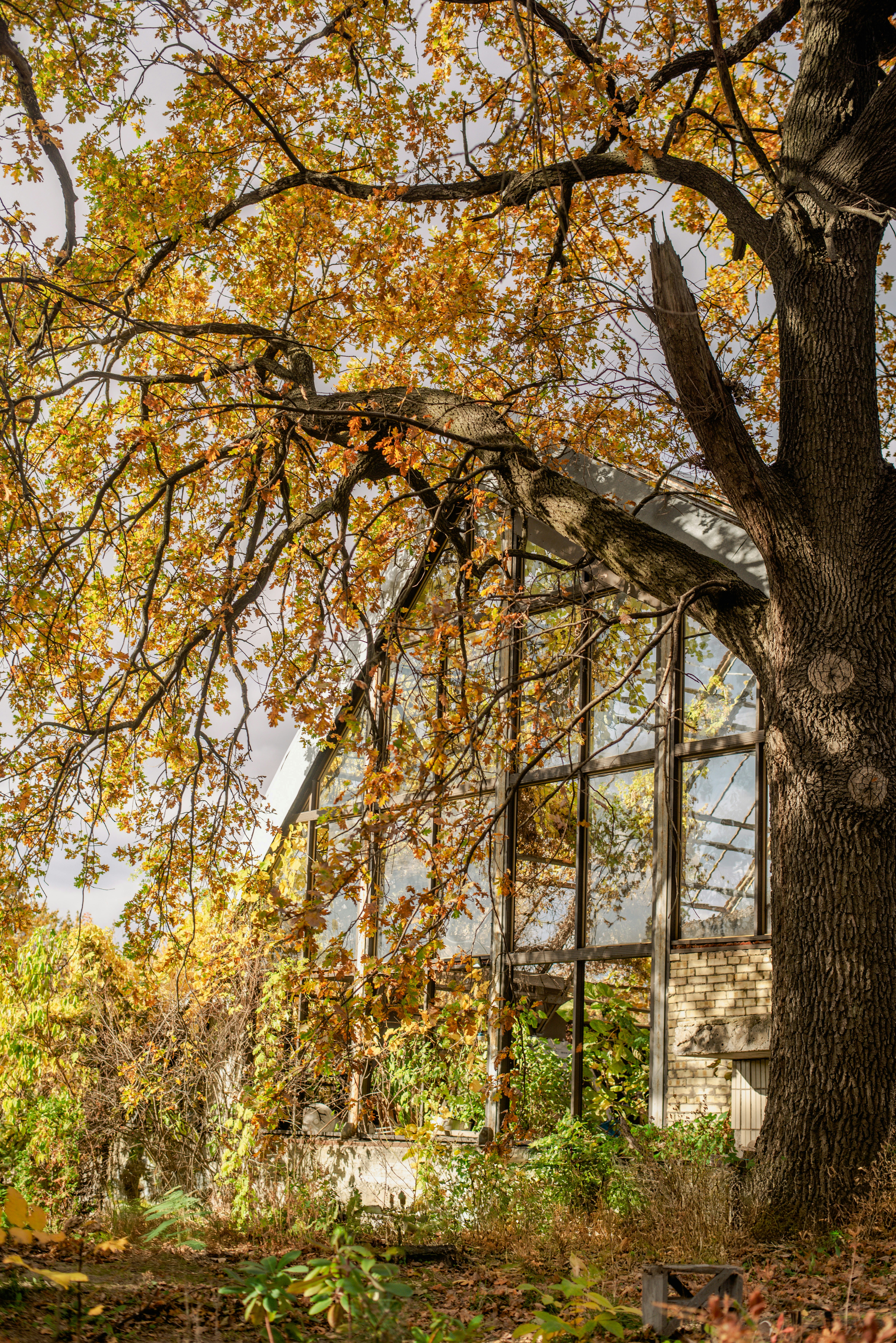 Photo by eugenivy_now