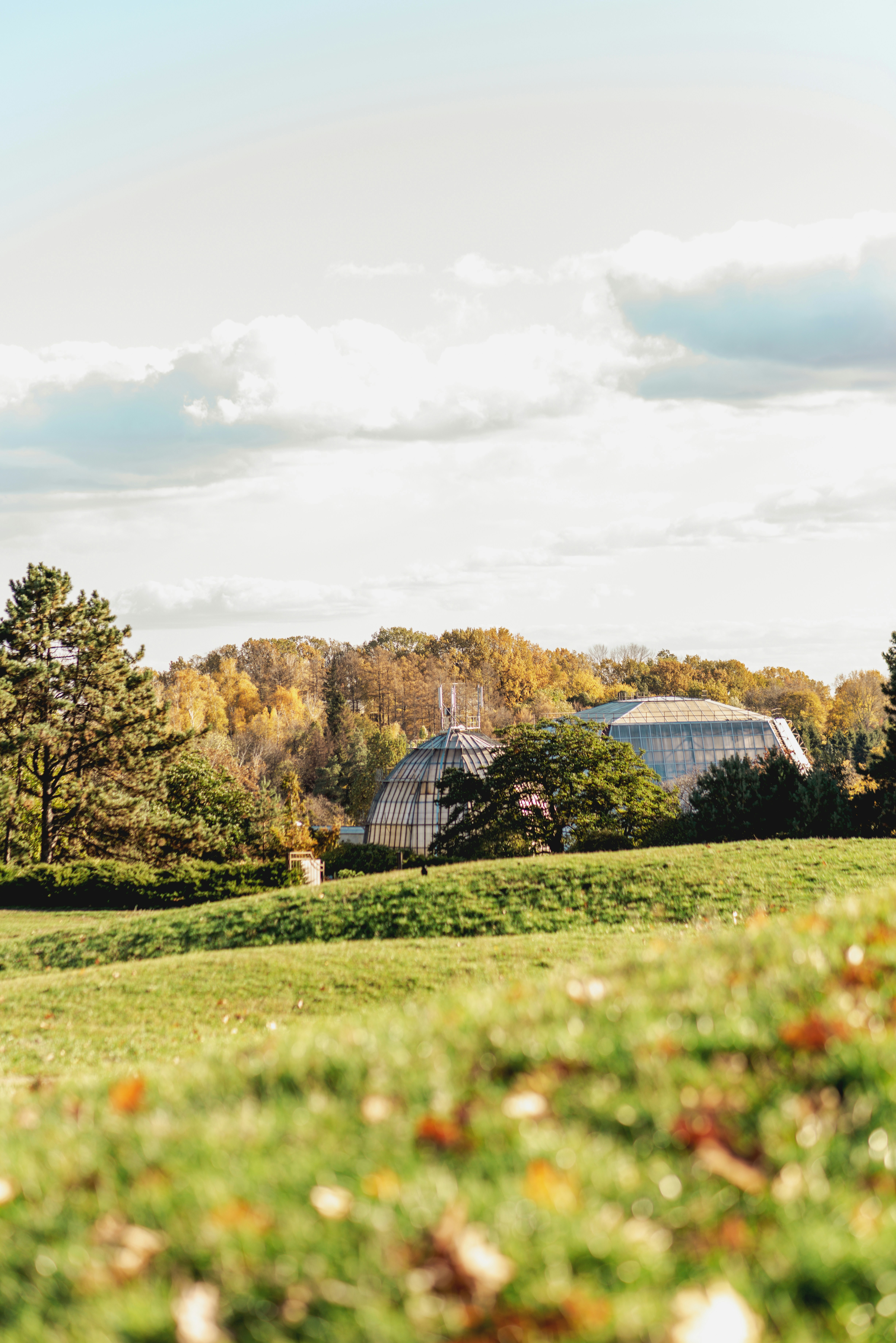 Photo by eugenivy_now