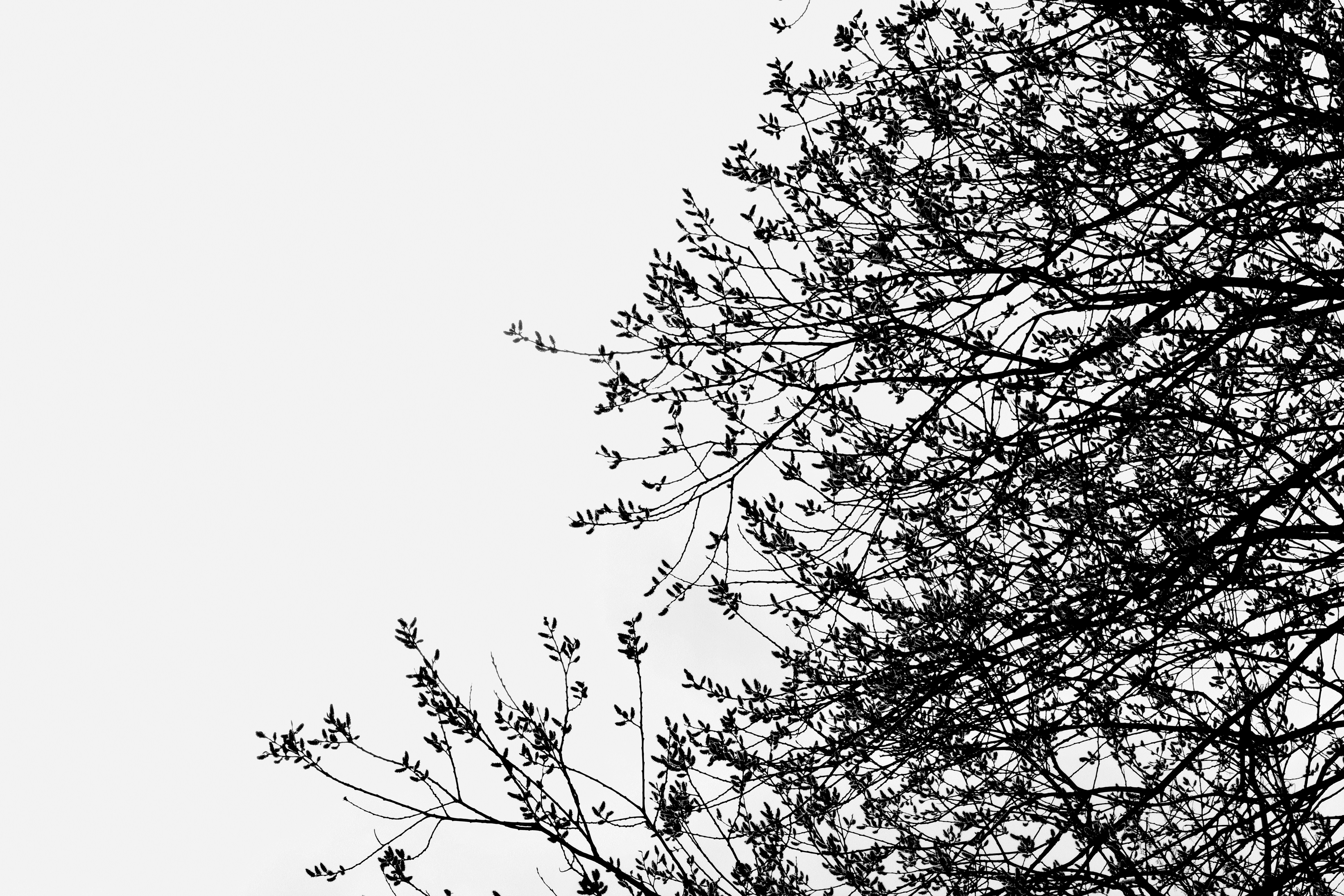 Photo by poppy_waddington