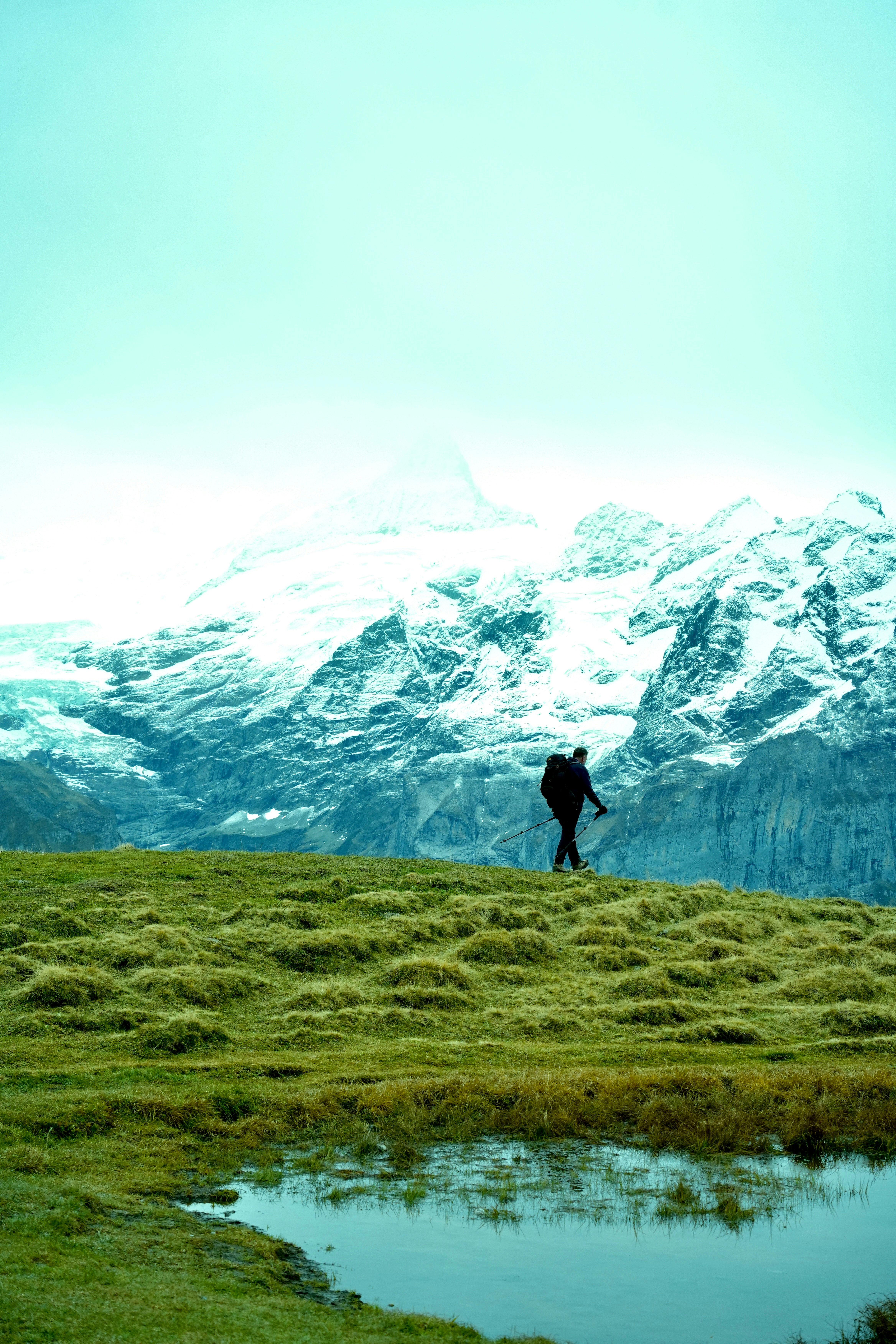 A man standing on top of a lush green field