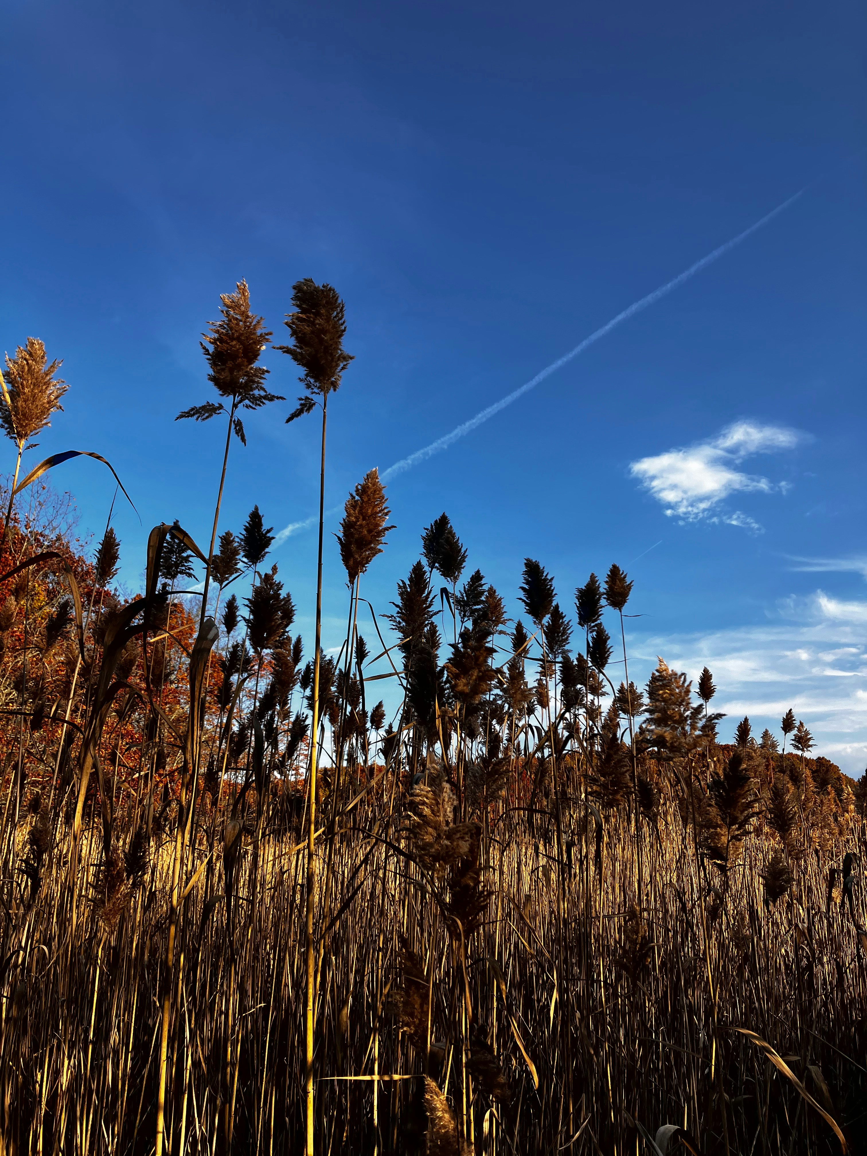 Photo by dreaminventor