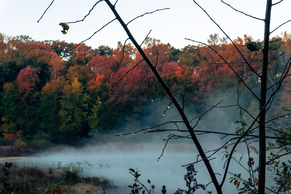 A calm lake surrounded by autumn trees in warm fall colors