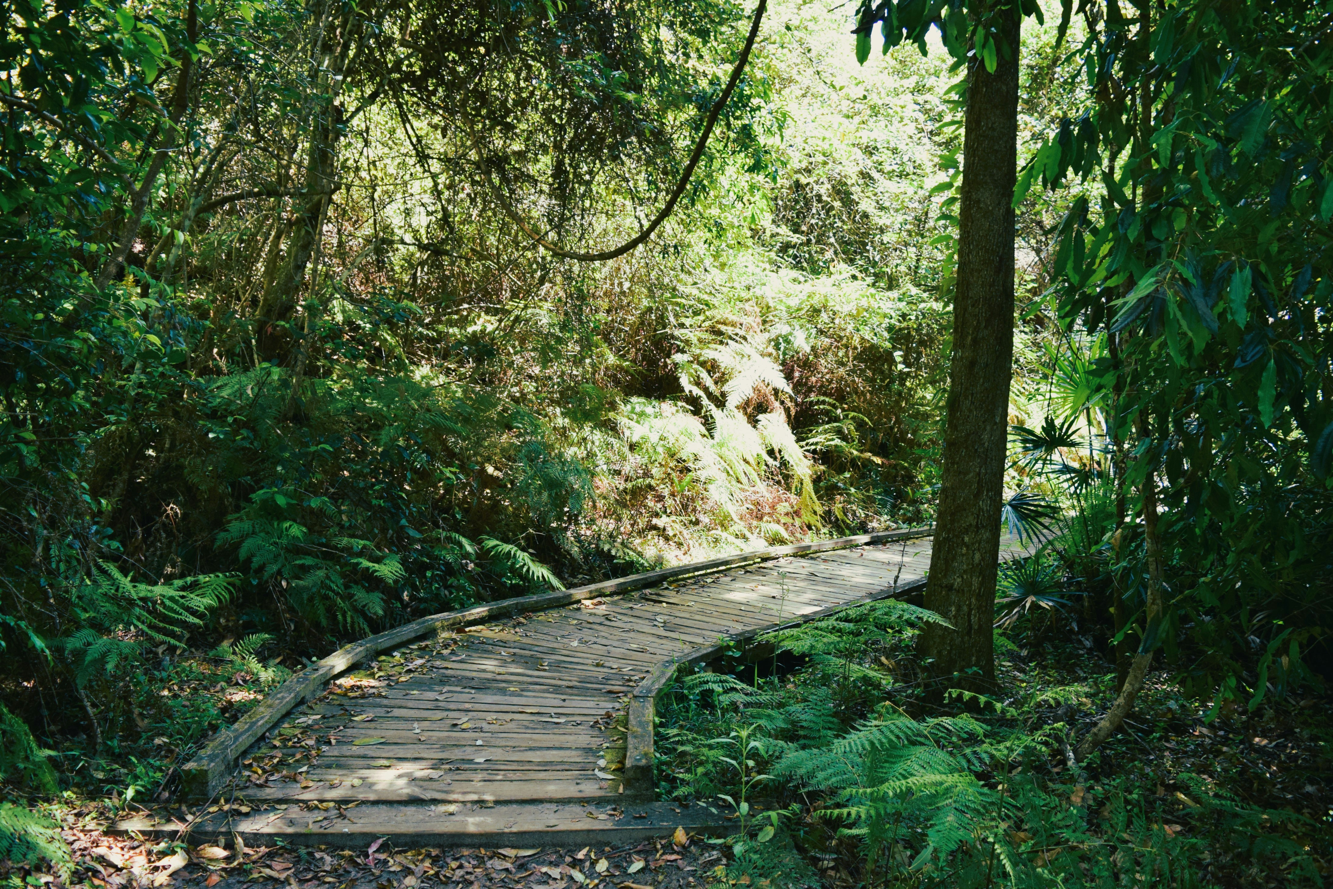 Photo by ch_photography