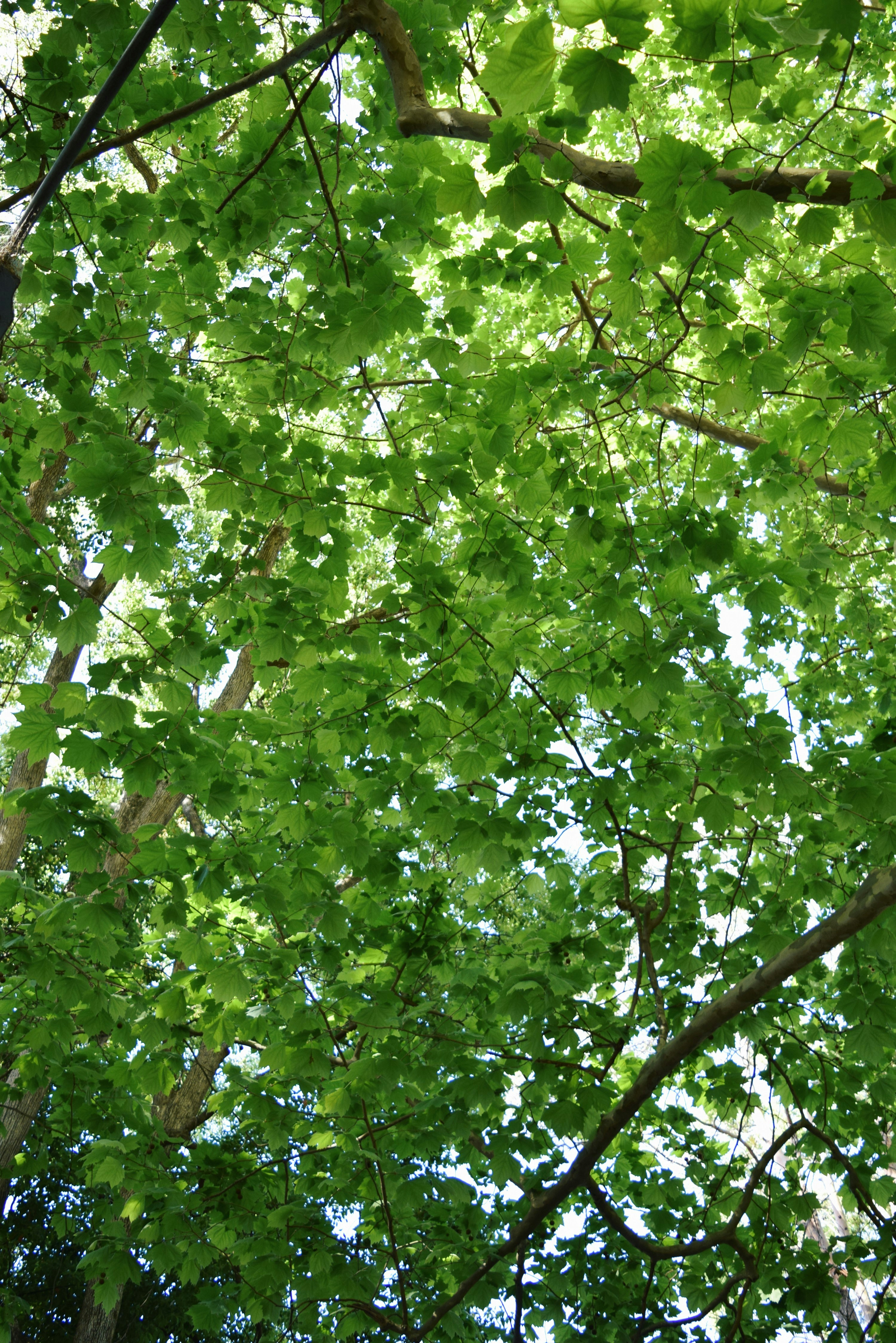 Photo by ch_photography