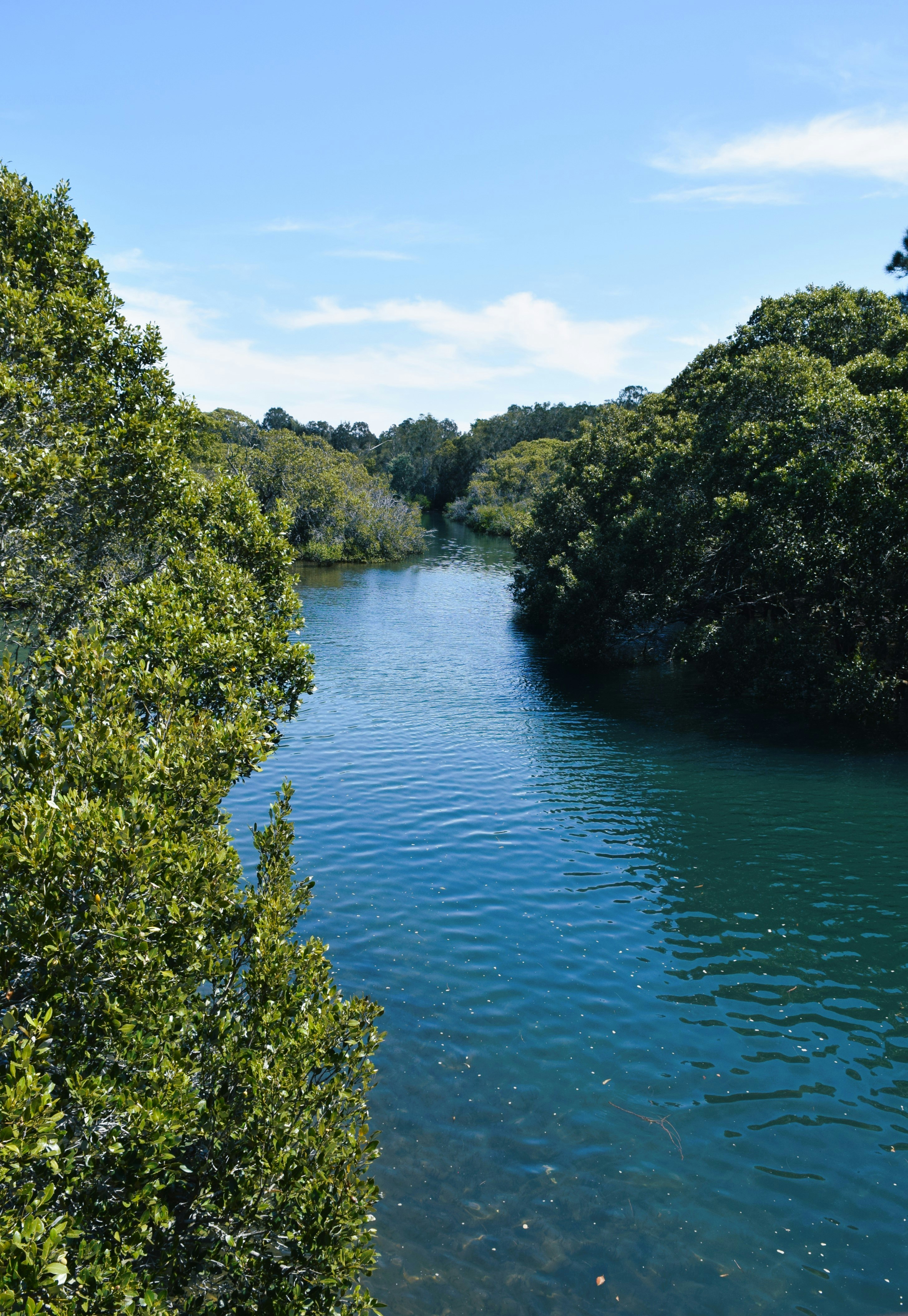 Bandon Grove, New South Wales