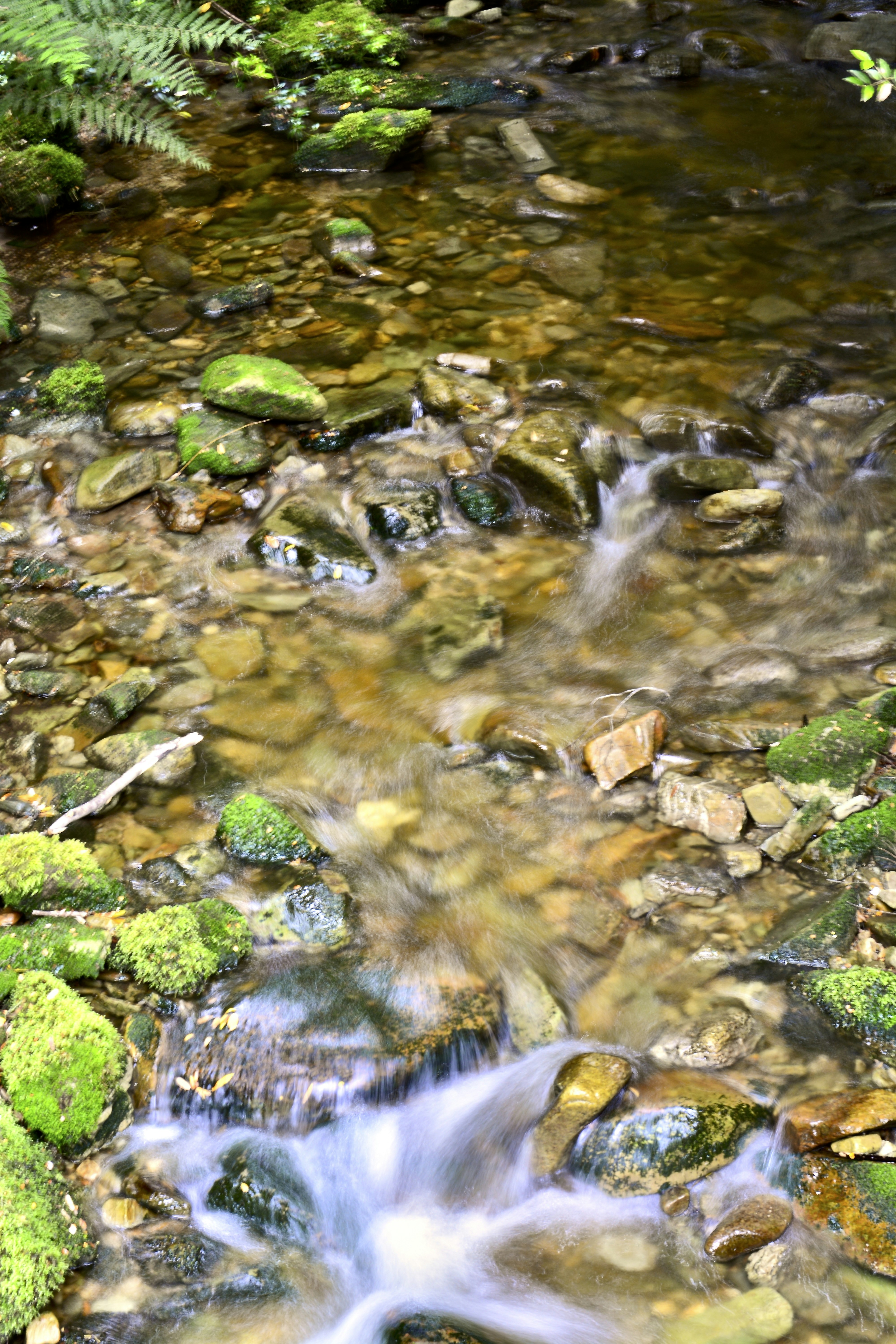 Photo by kshithijchandrashekar