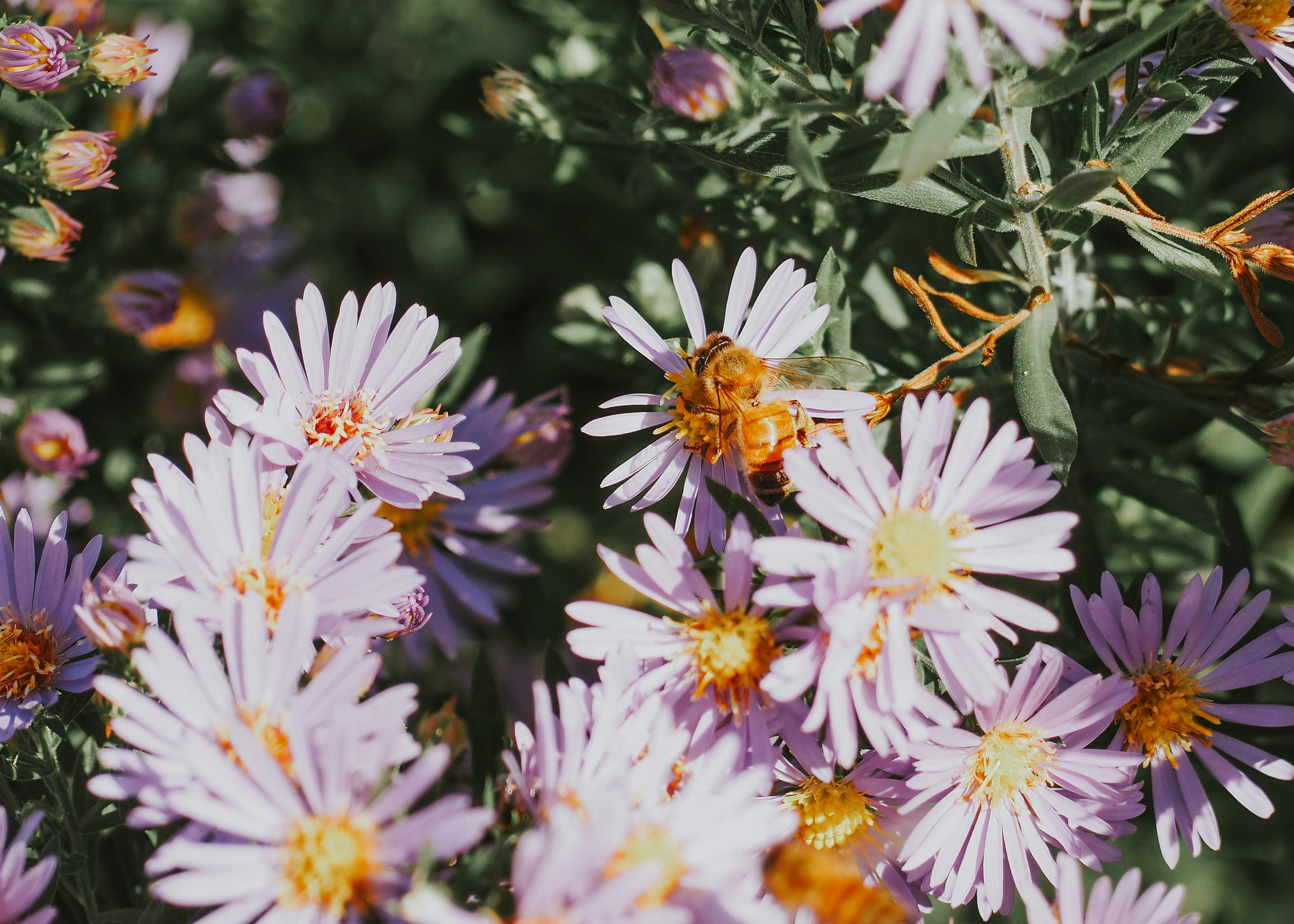 Photo by fieldworkframes