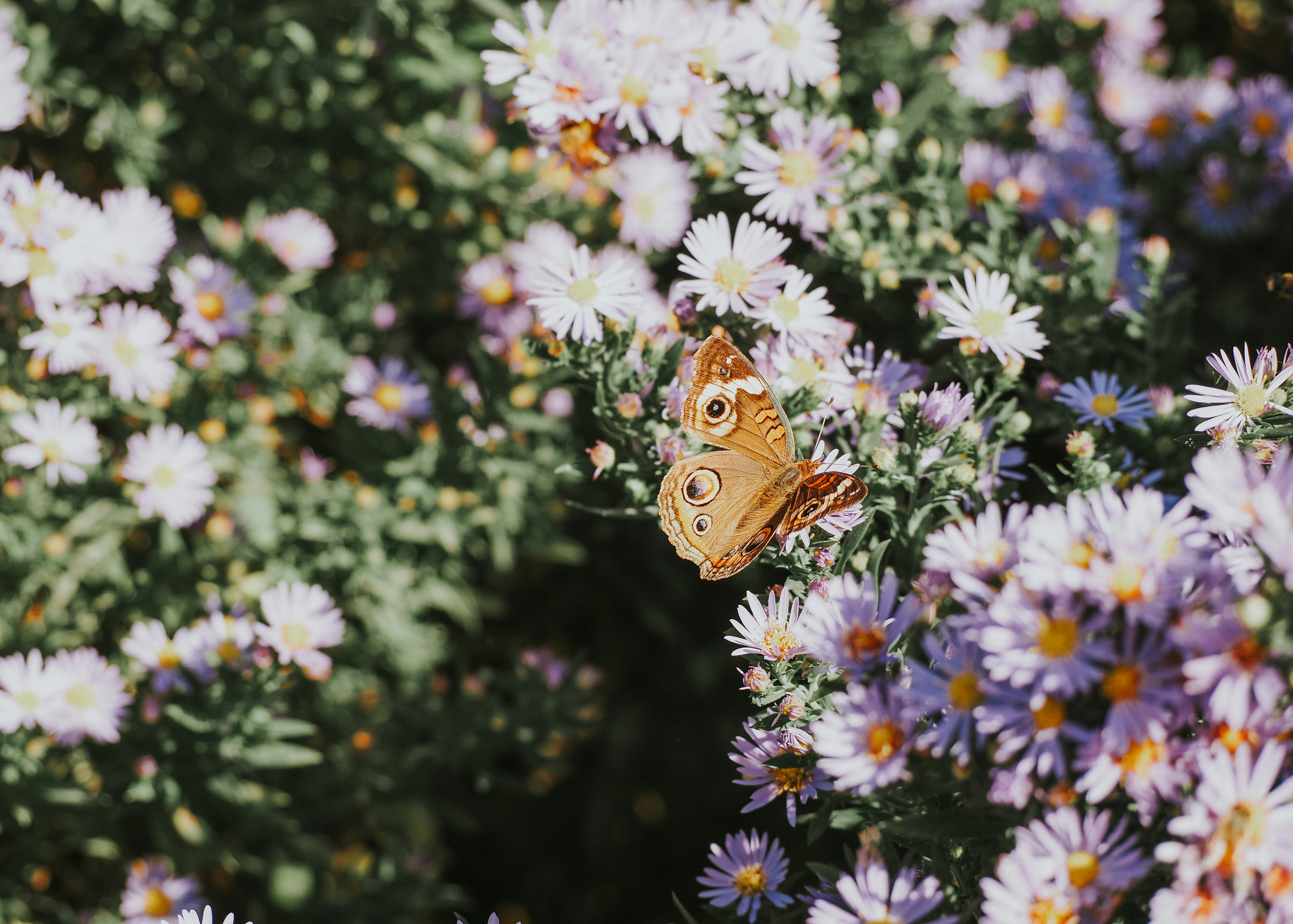 Photo by fieldworkframes